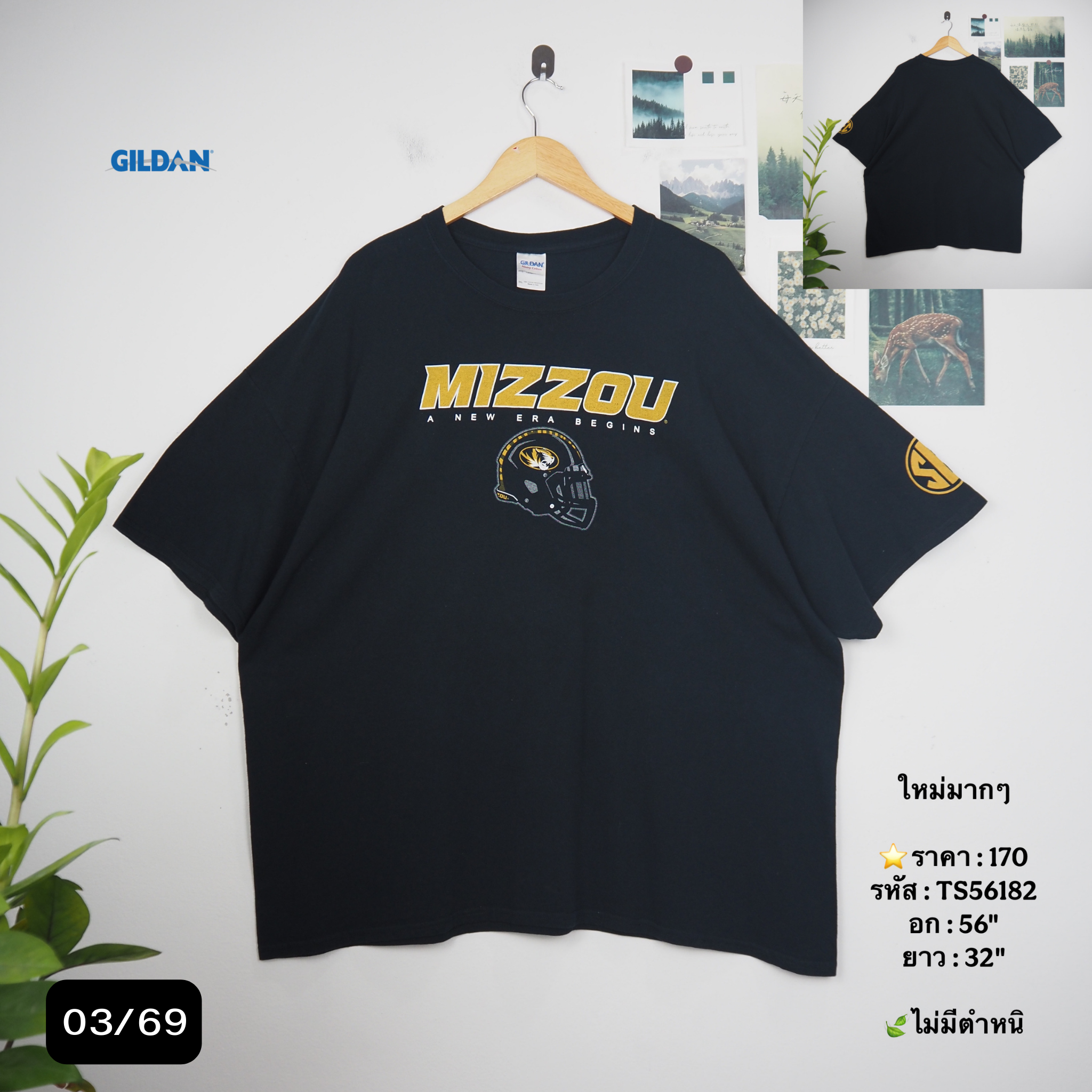 TS56182