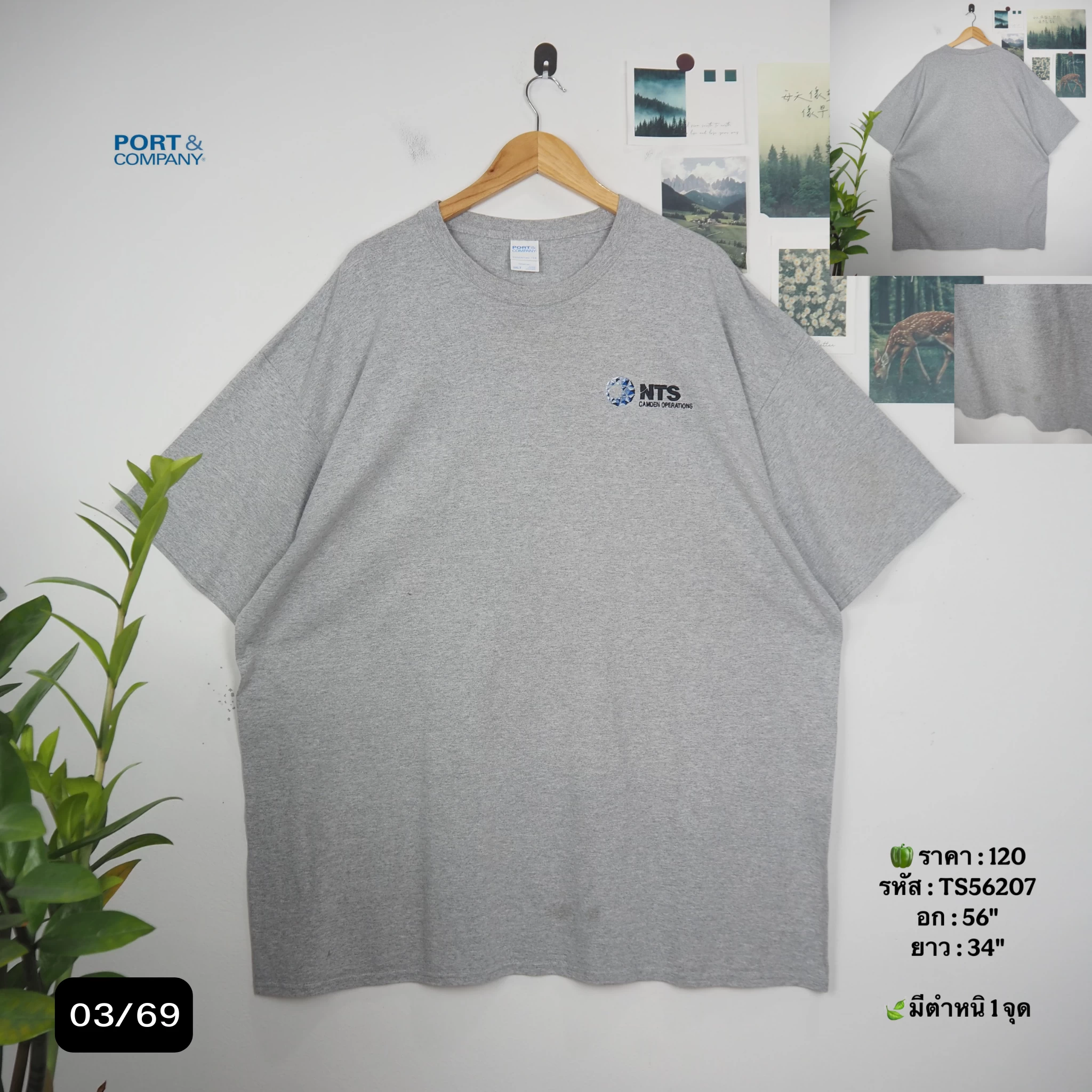 TS56207
