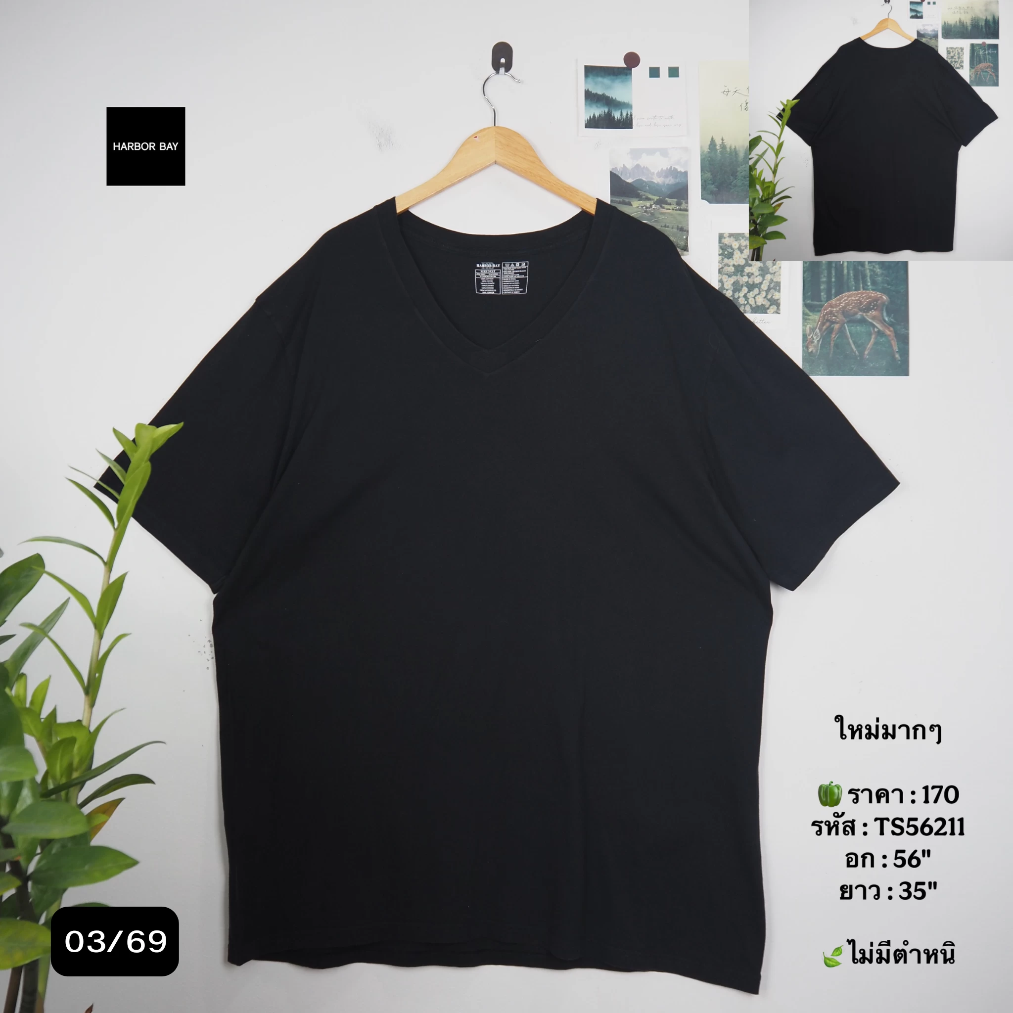 TS56211