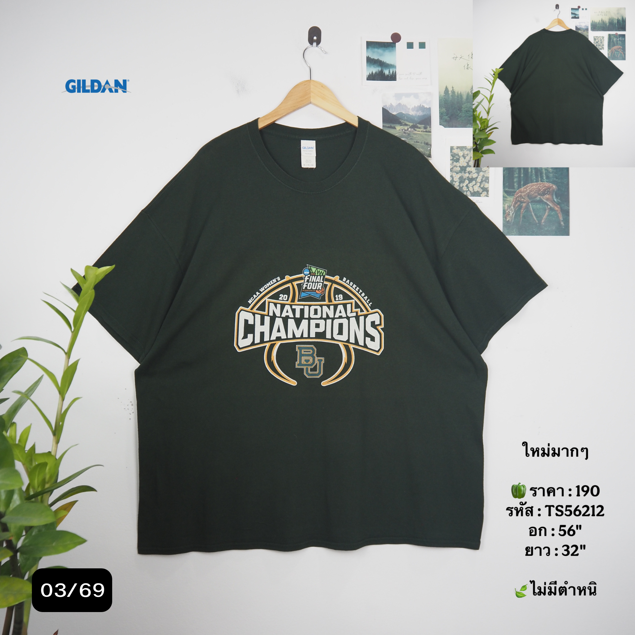 TS56212