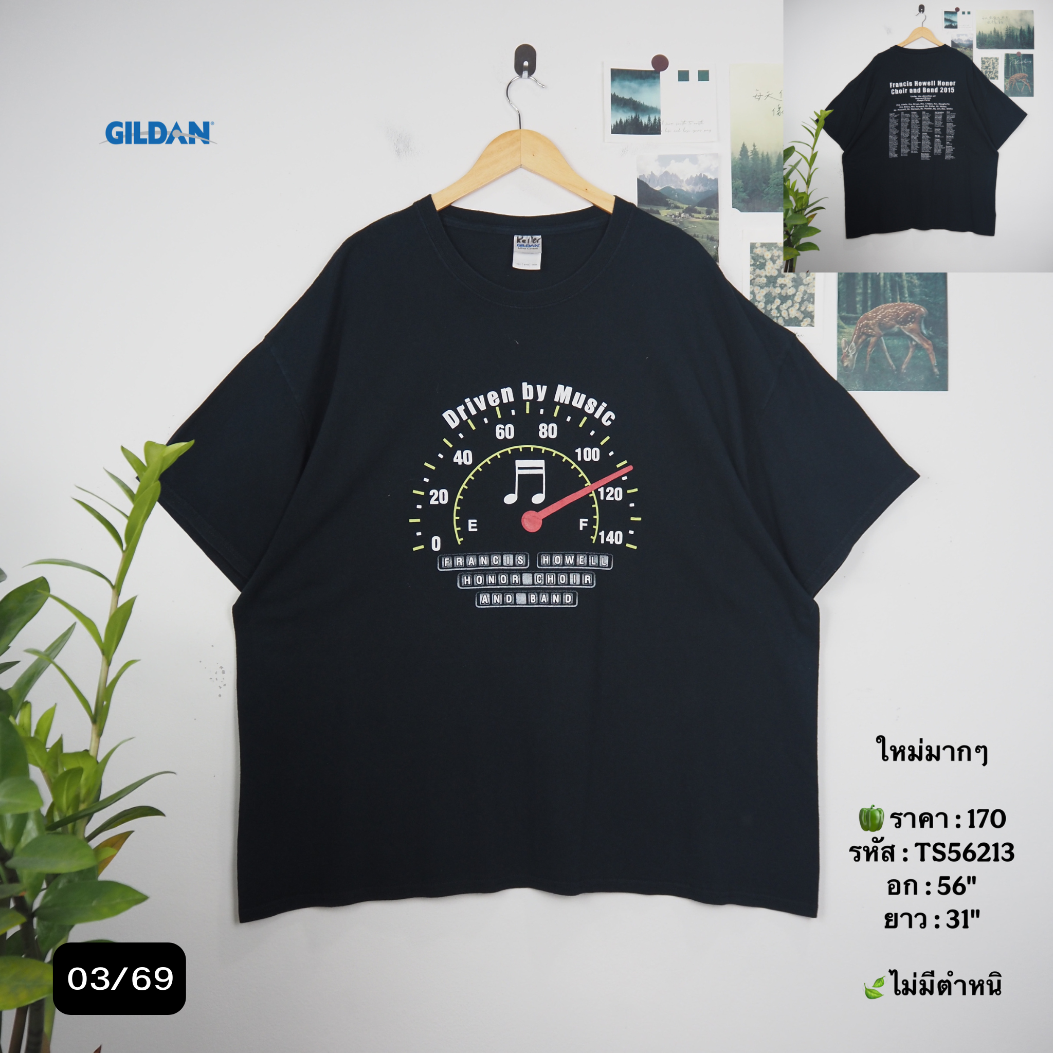 TS56213