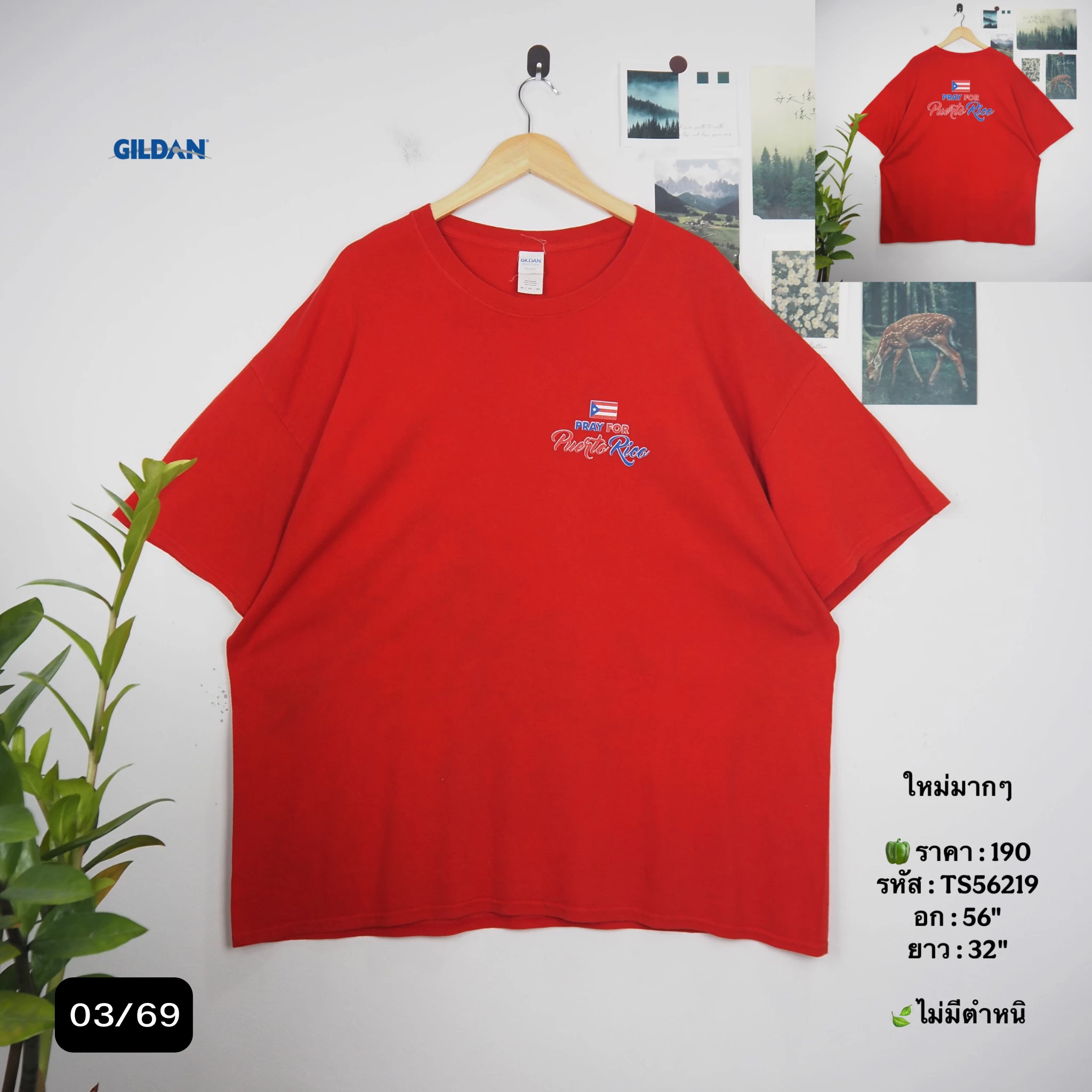TS56219