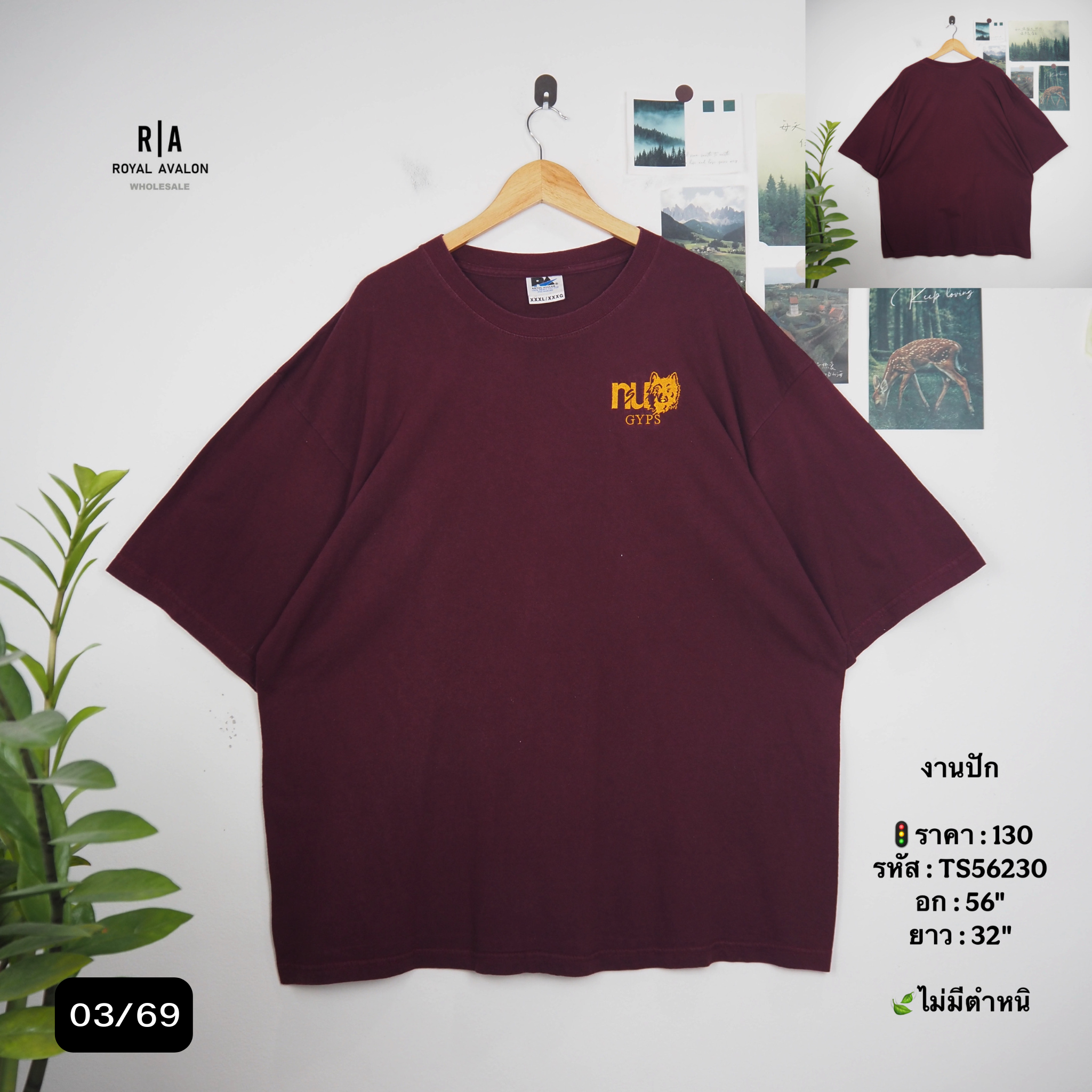 TS56230