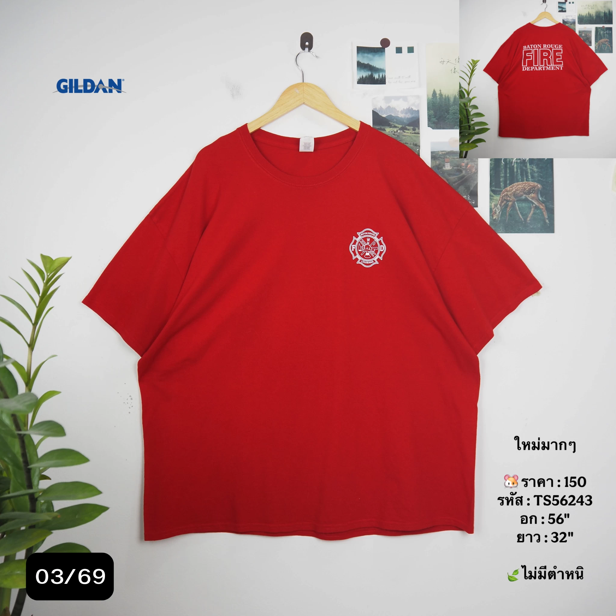 TS56243
