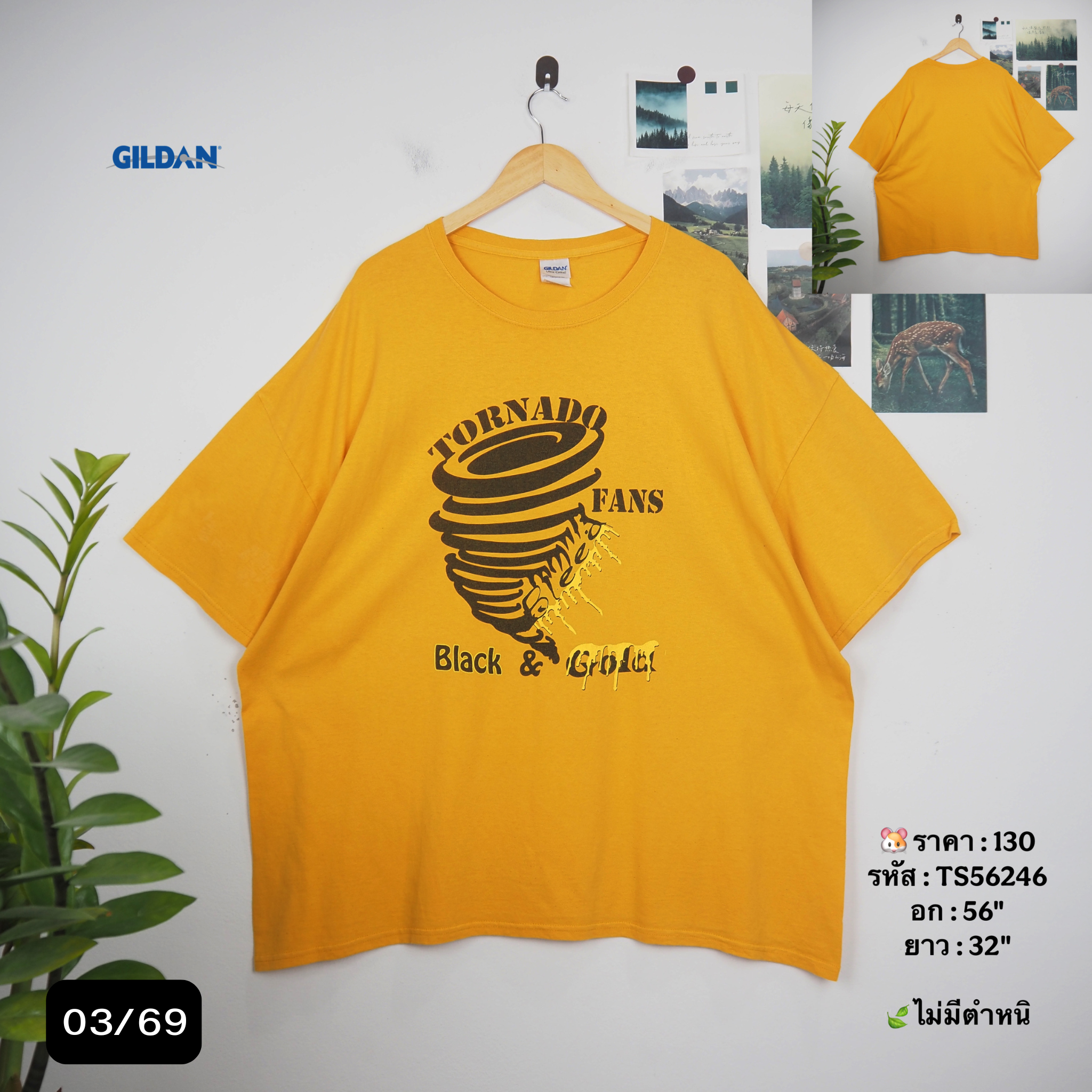 TS56246
