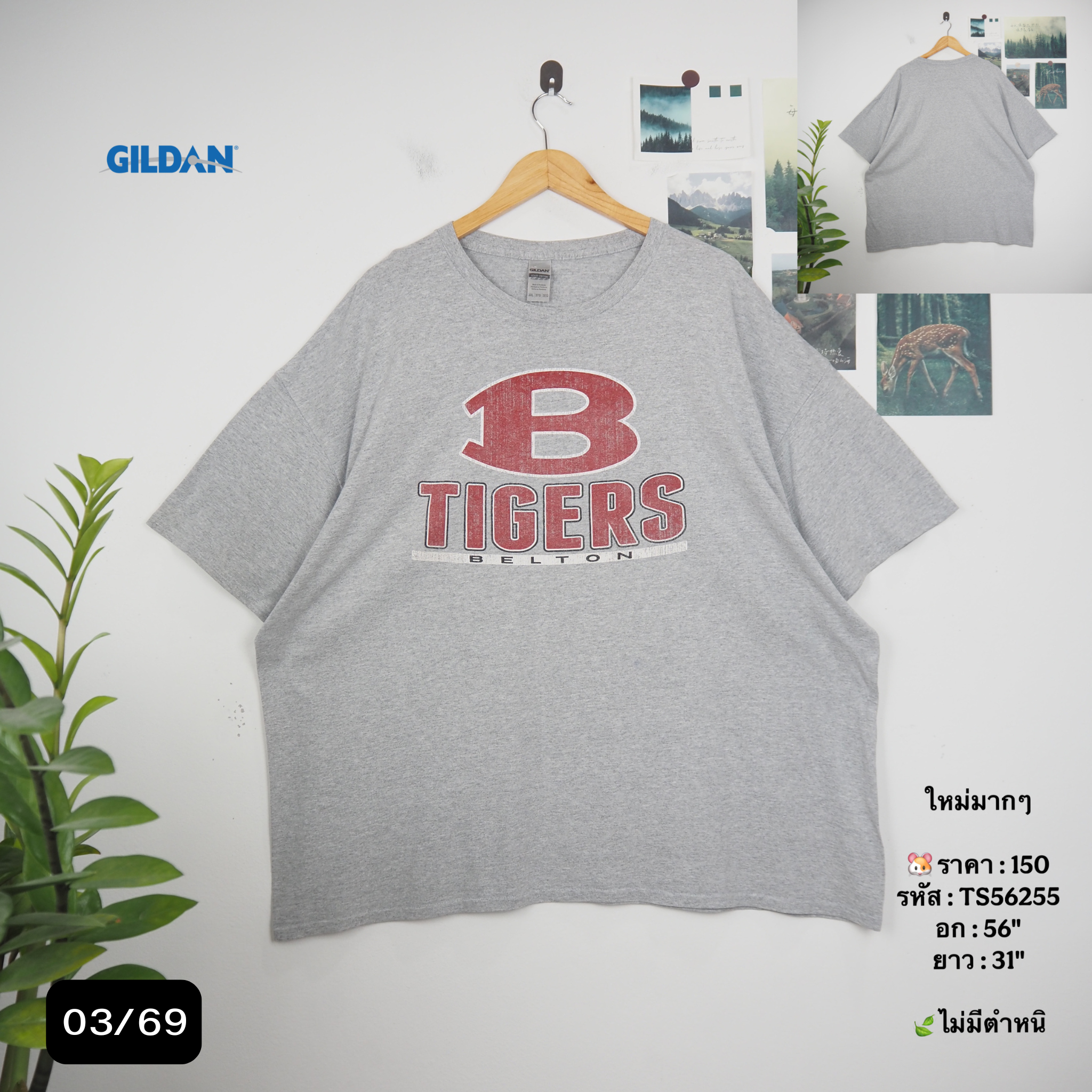 TS56255
