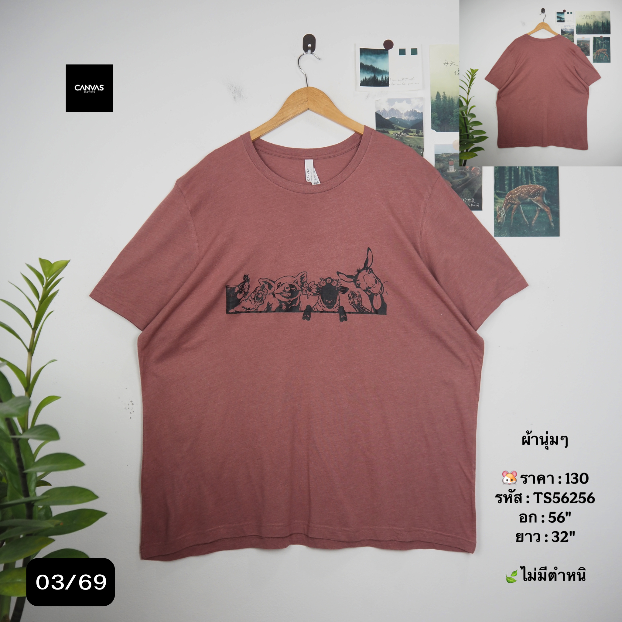 TS56256