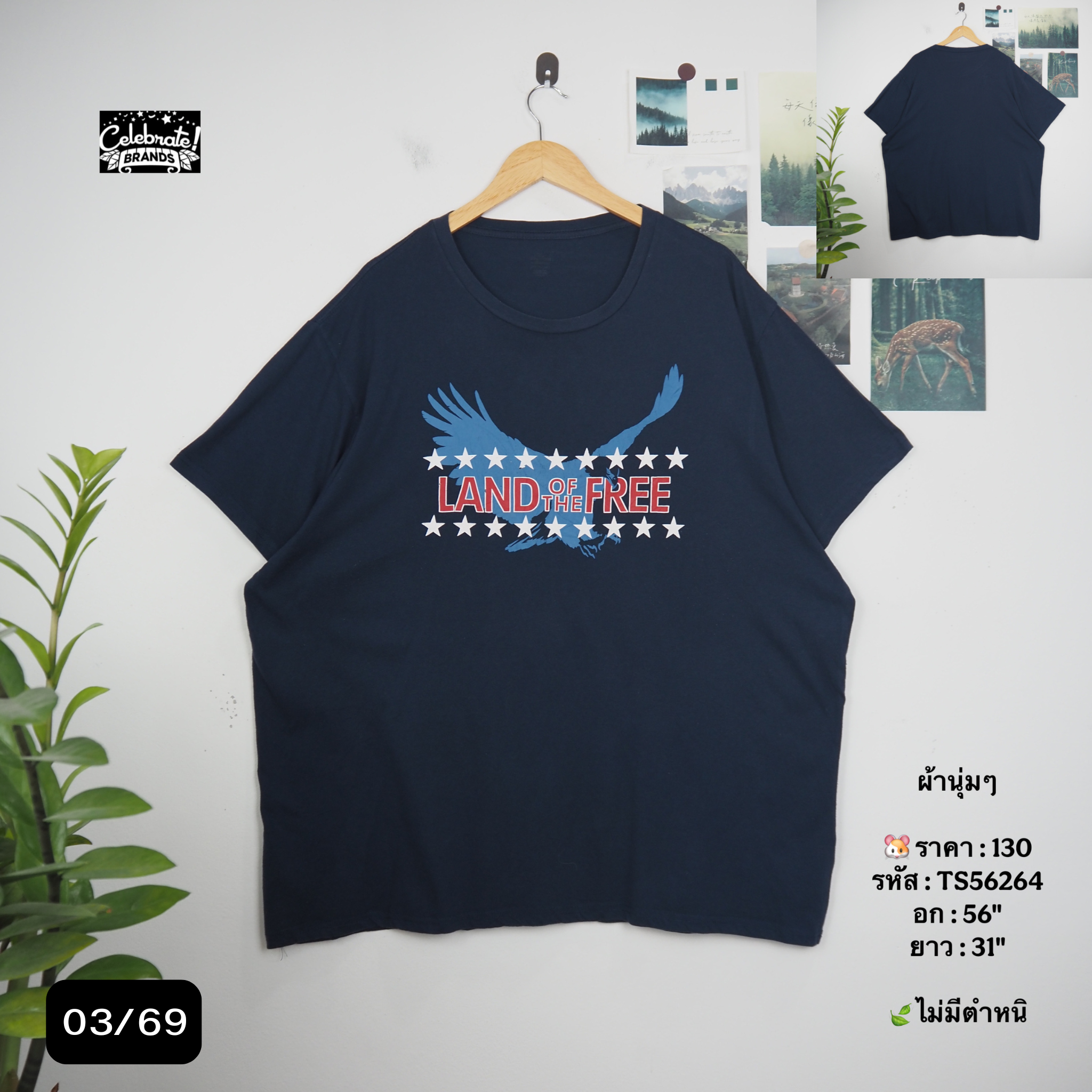 TS56264