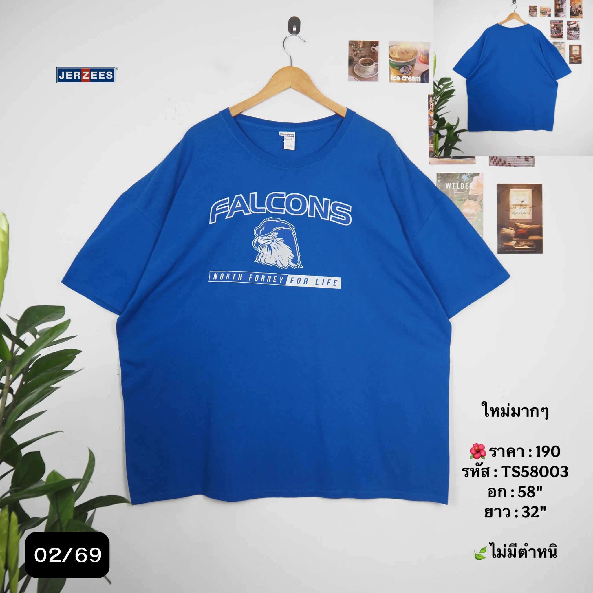 TS58003