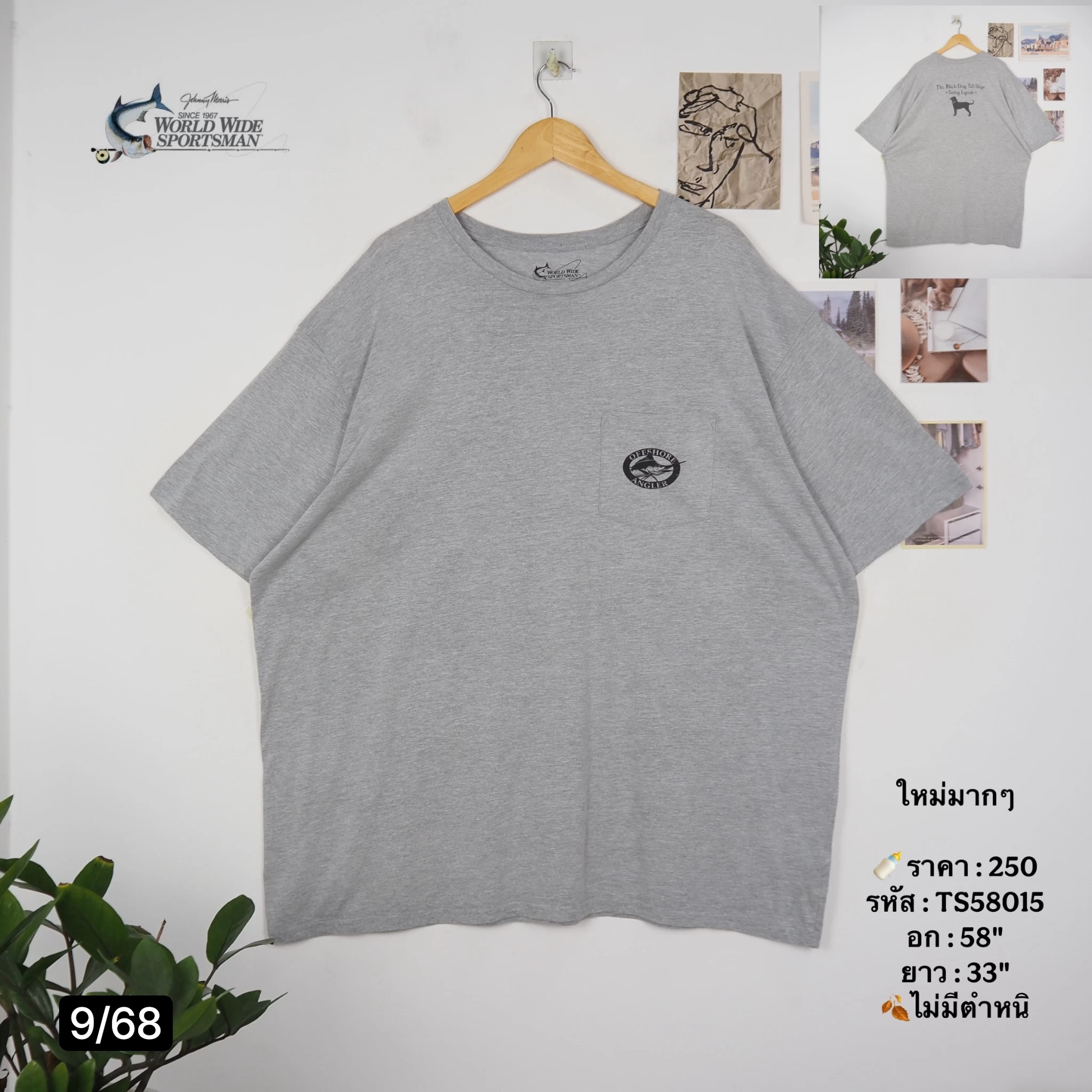 TS58015