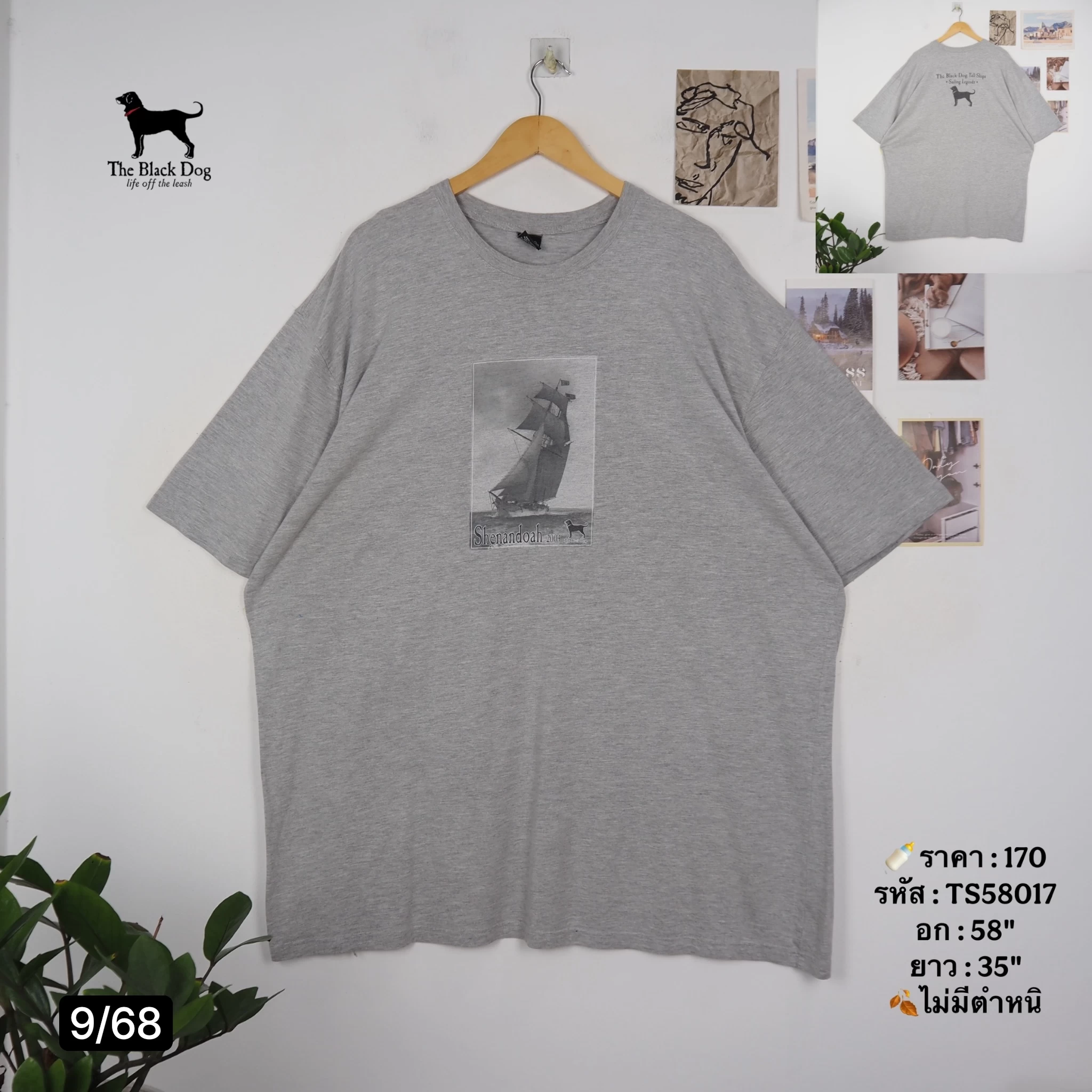 TS58017