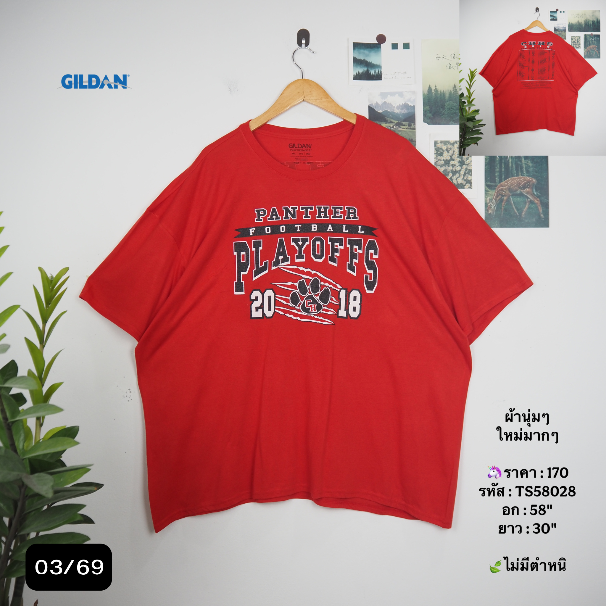 TS58028