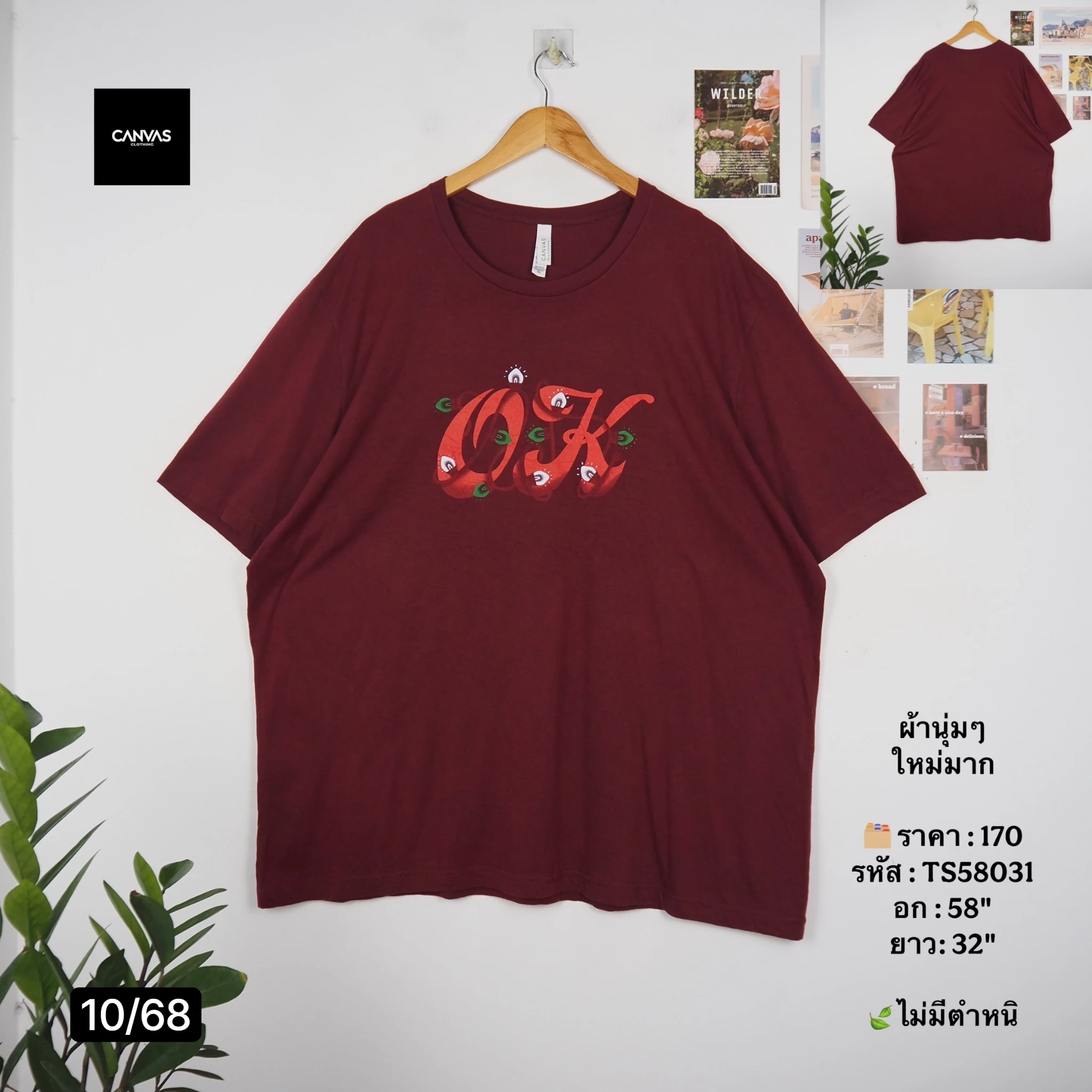 TS58031