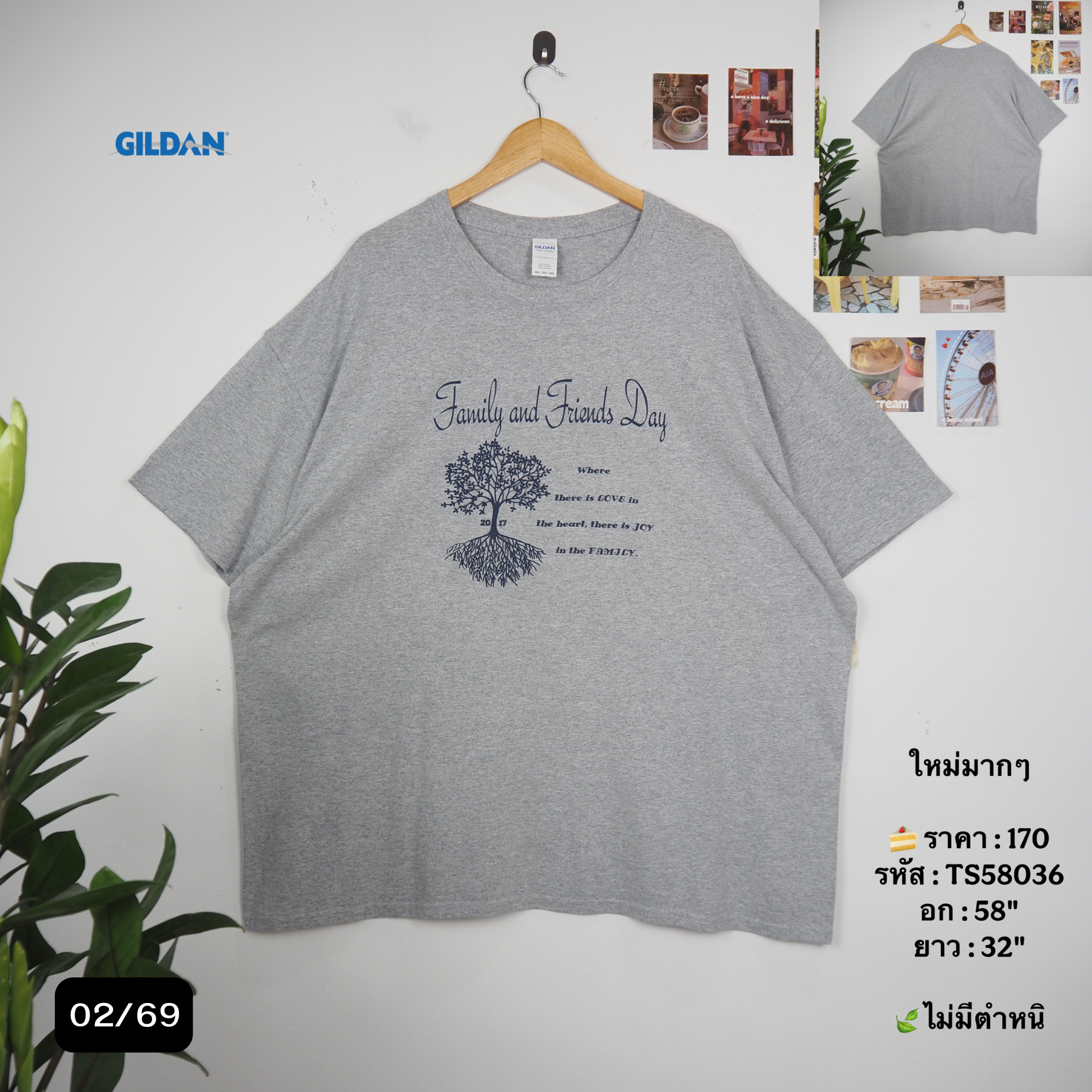 TS58036