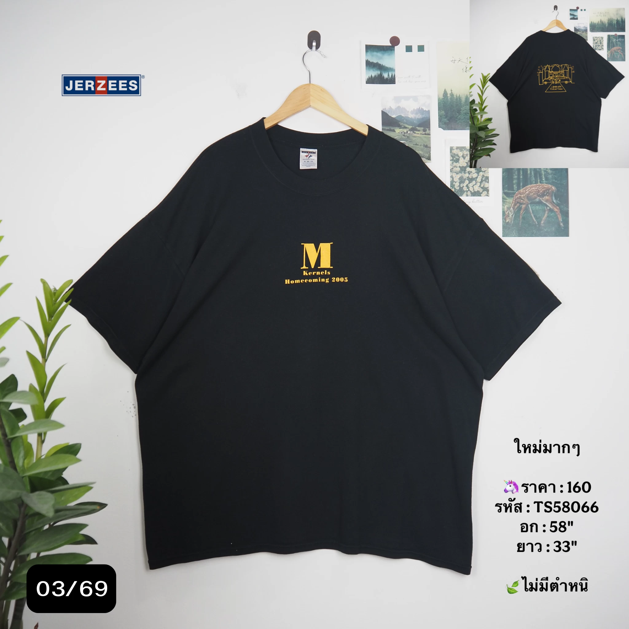 TS58066