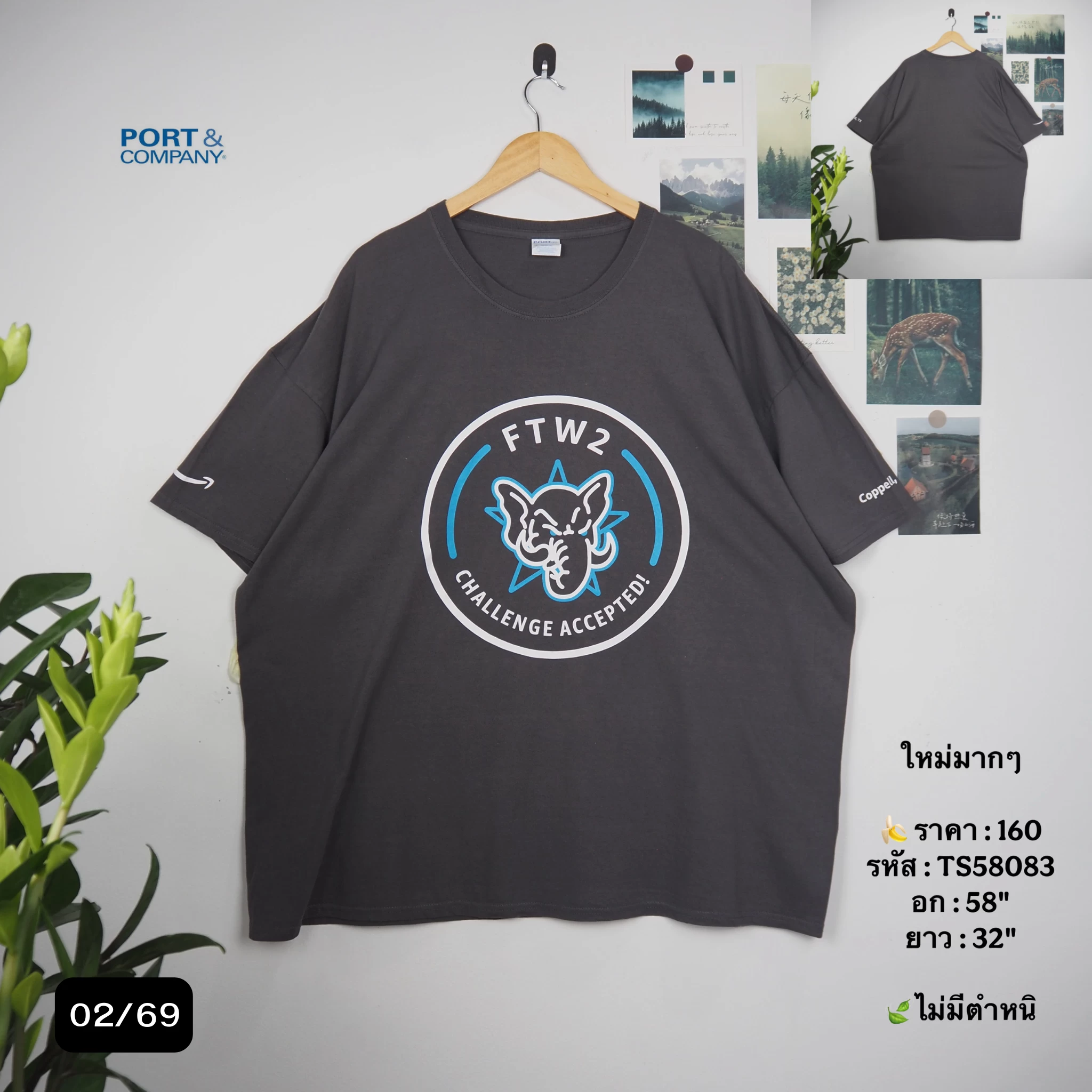TS58083