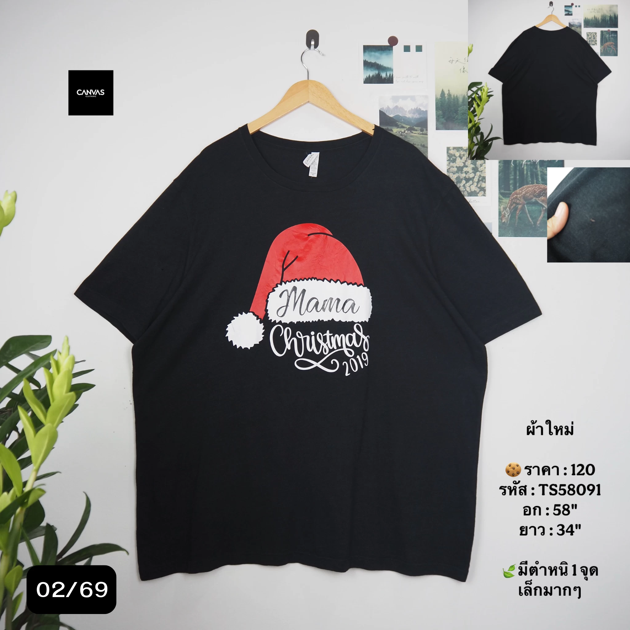 TS58091