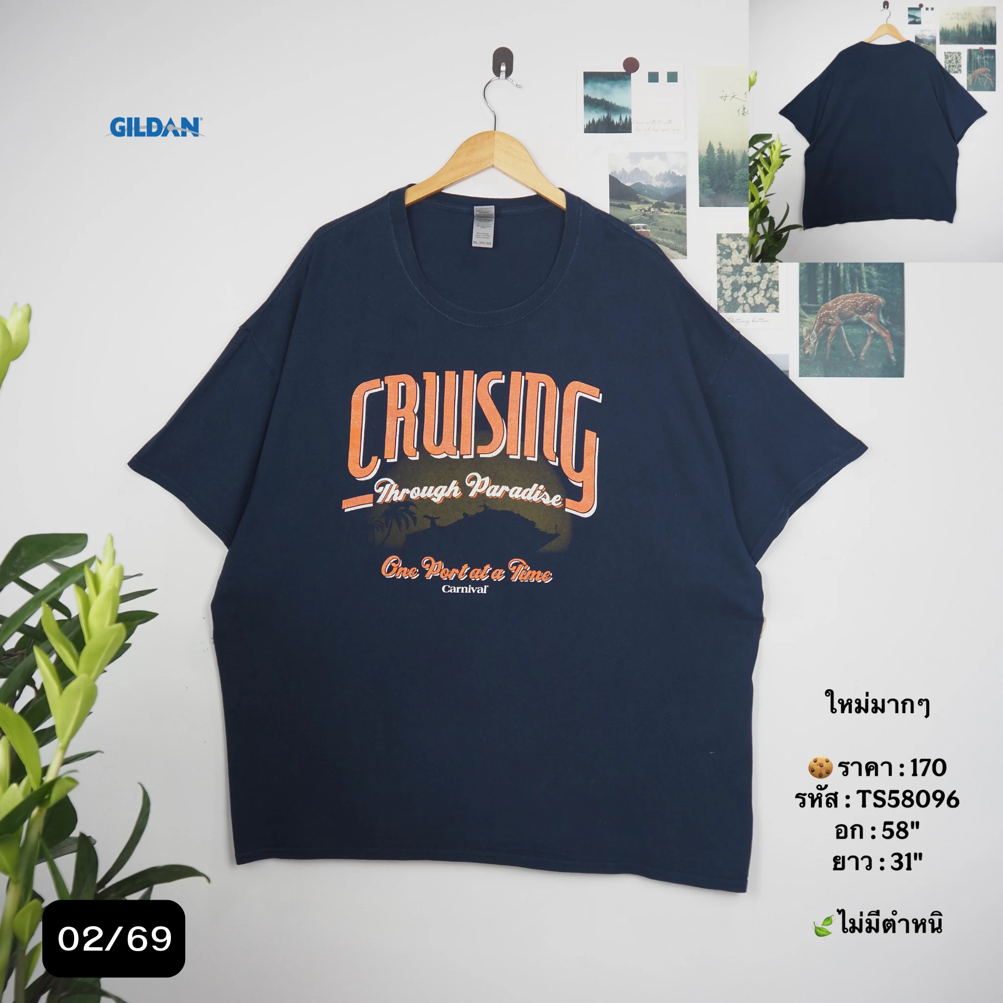 TS58096