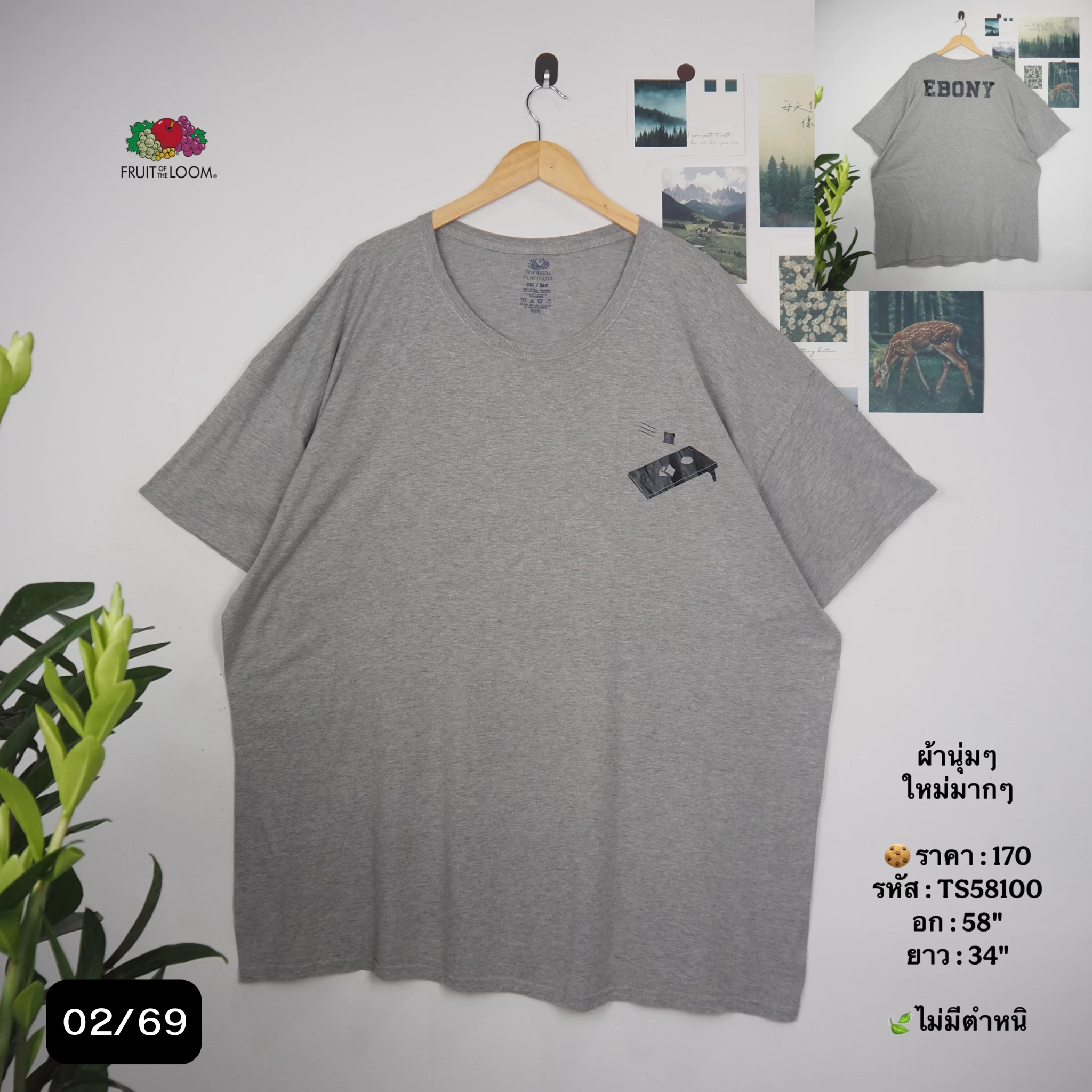 TS58100