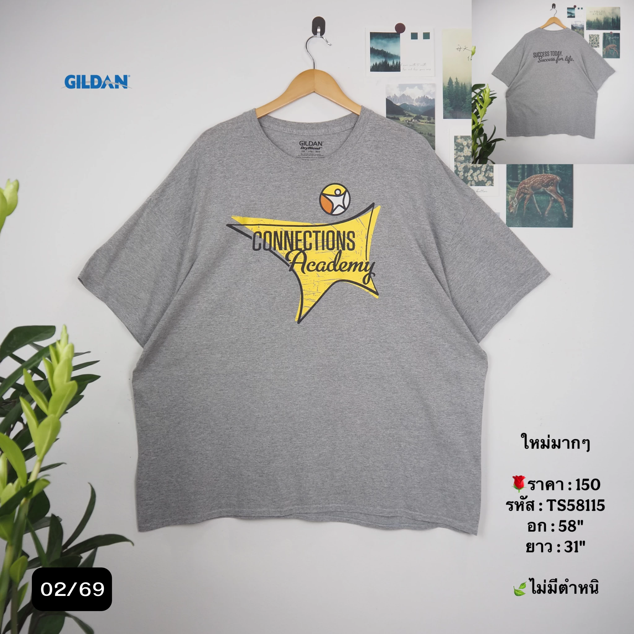 TS58115