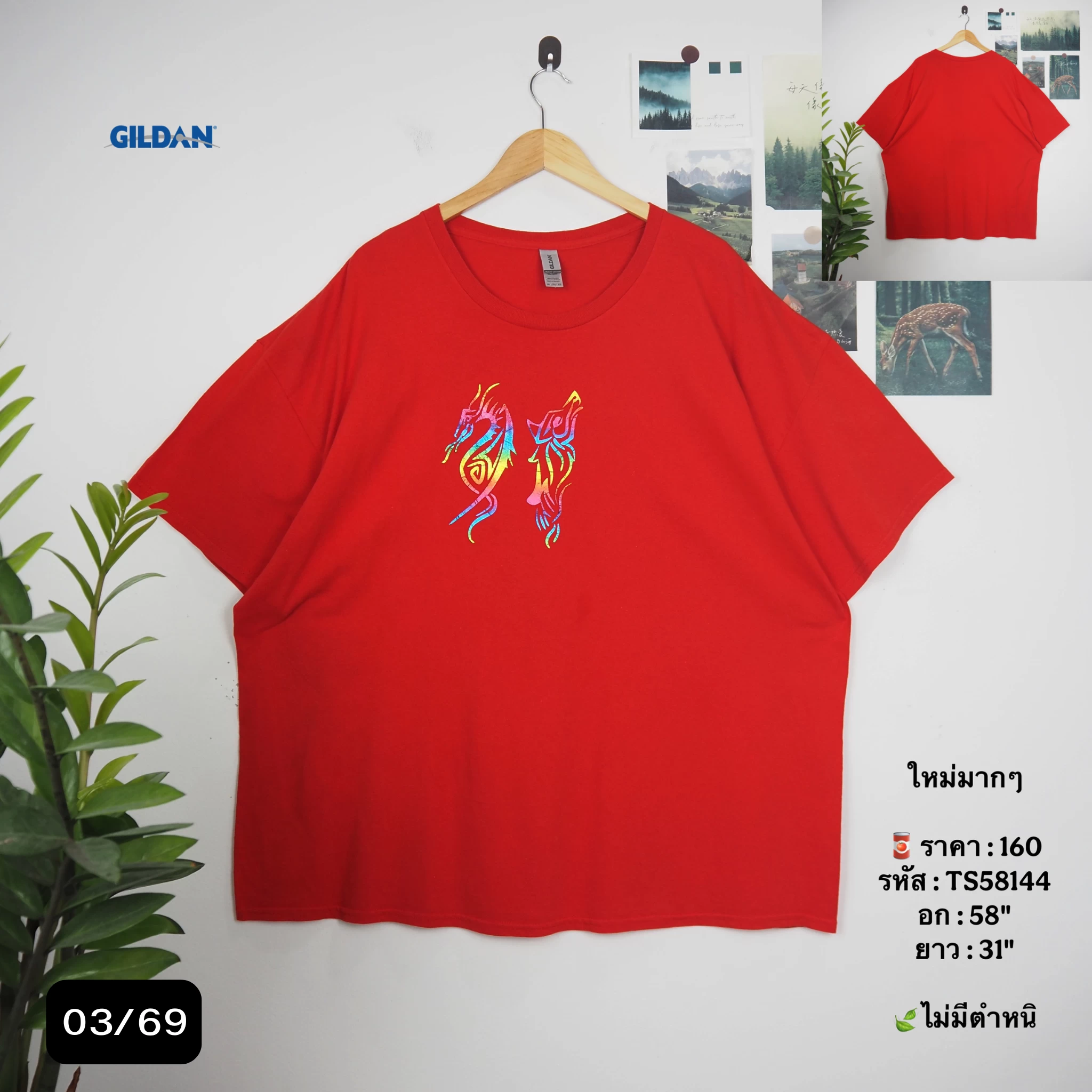 TS58144