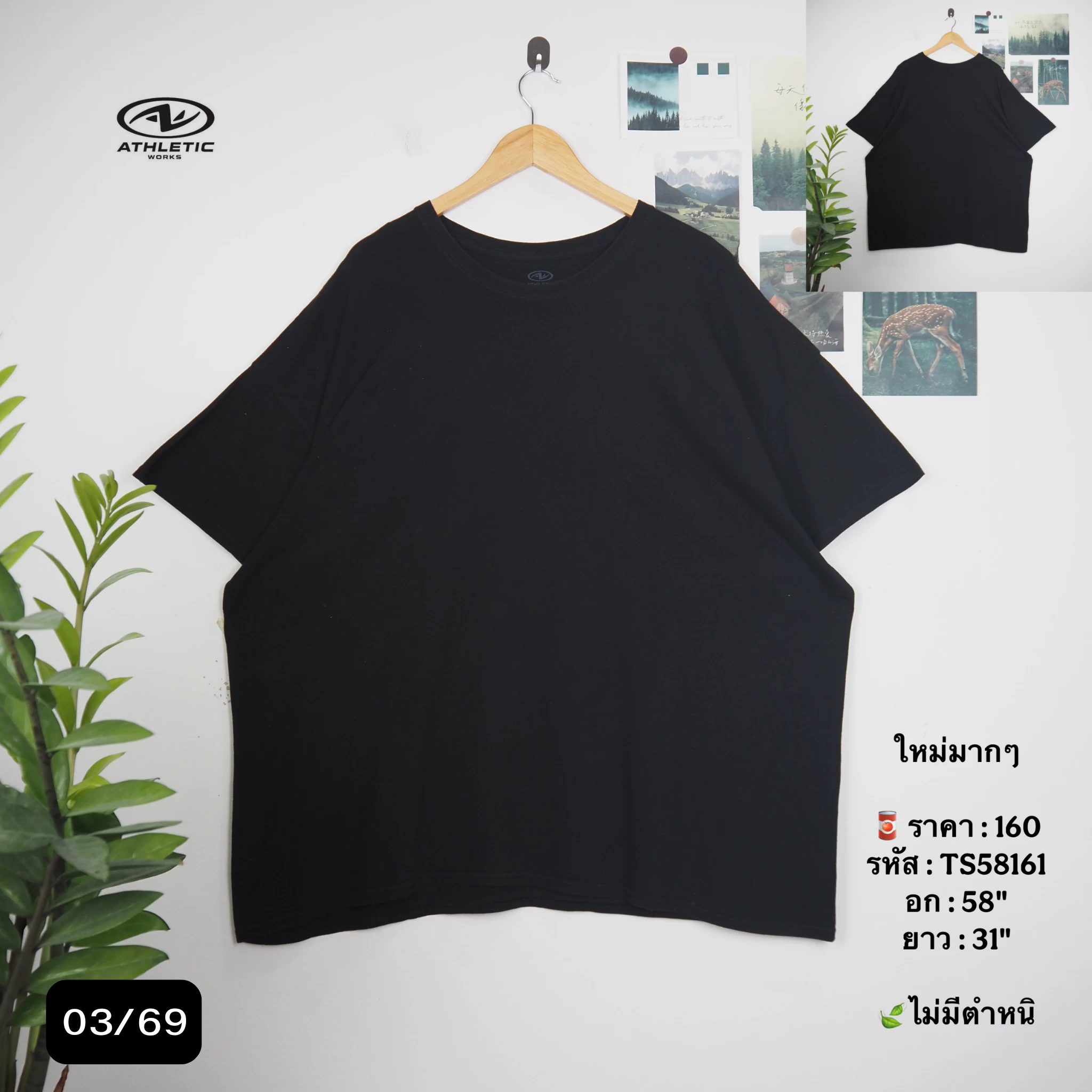 TS58161
