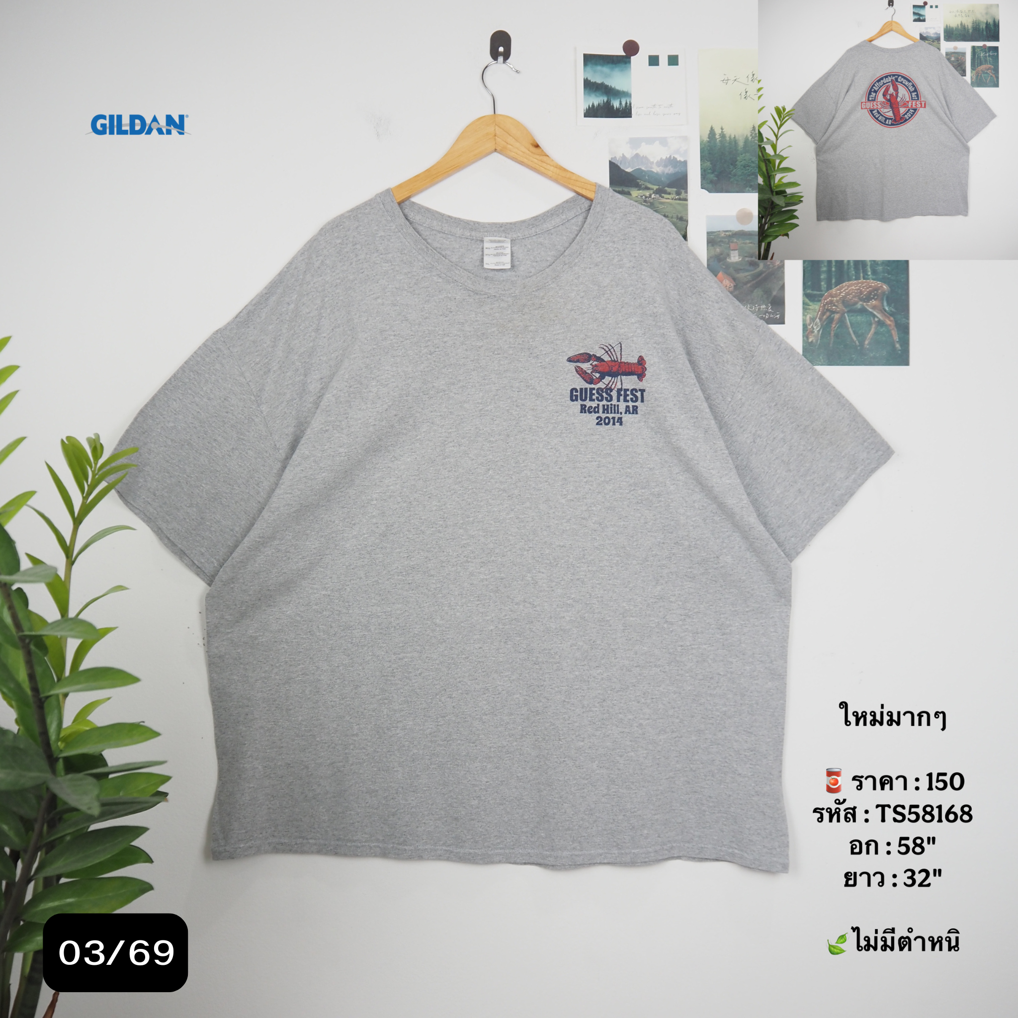 TS58168
