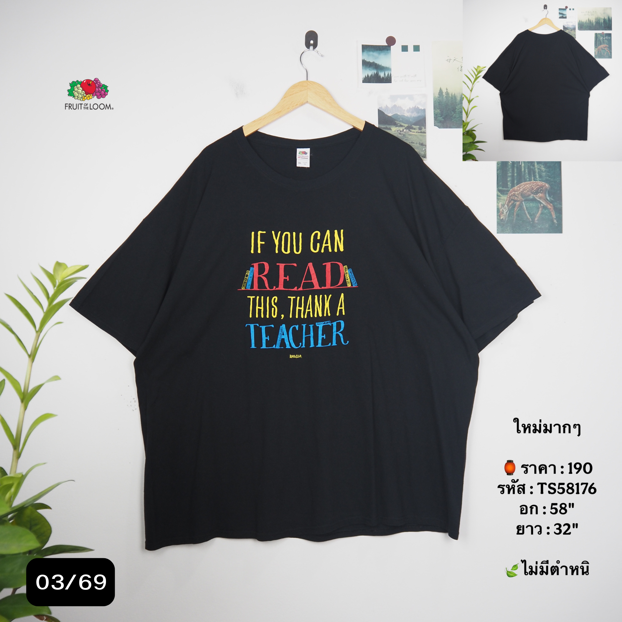 TS58176
