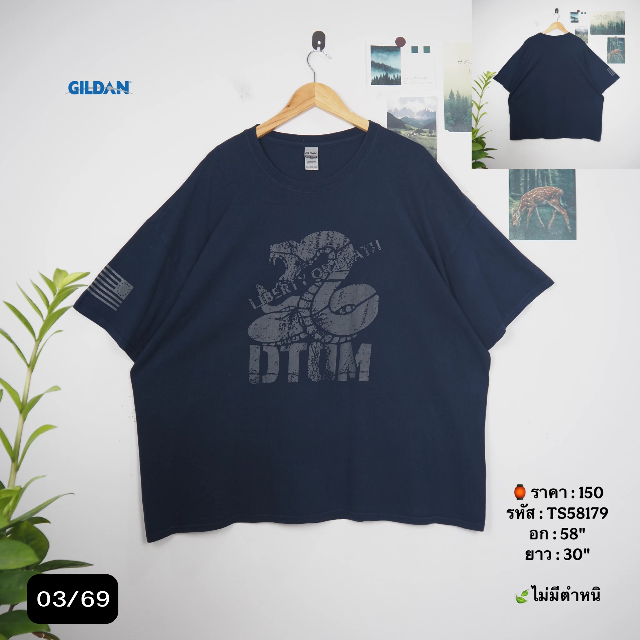TS58179