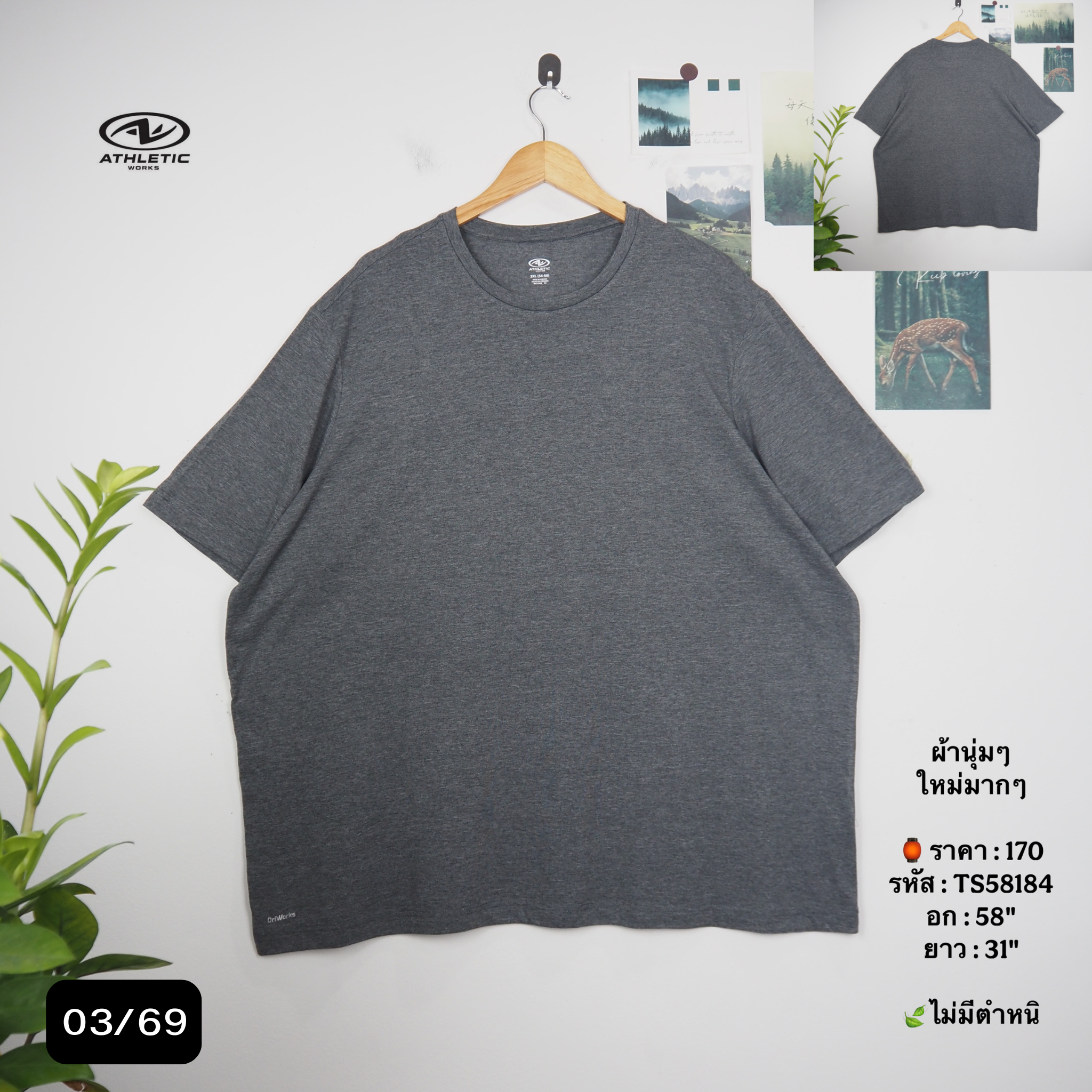 TS58184
