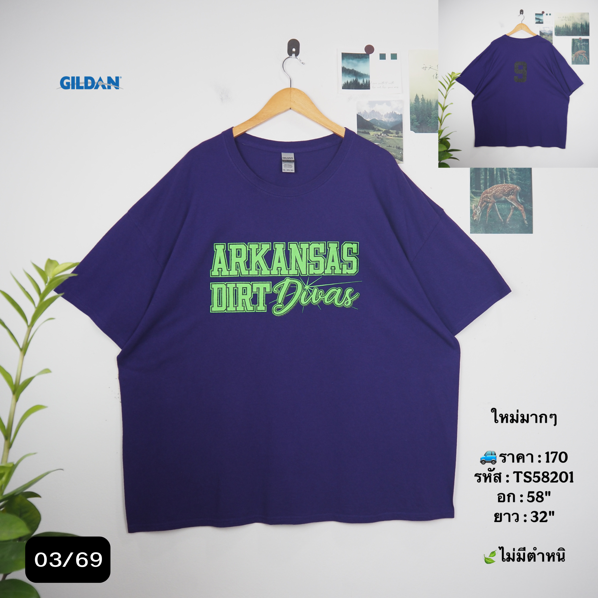 TS58201