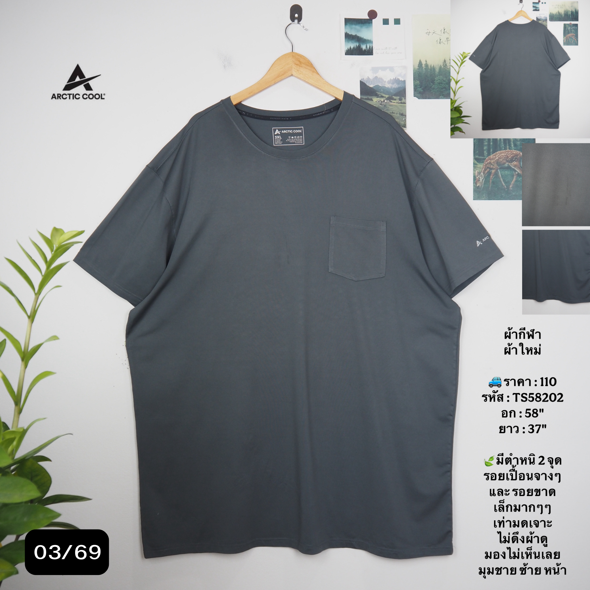 TS58202