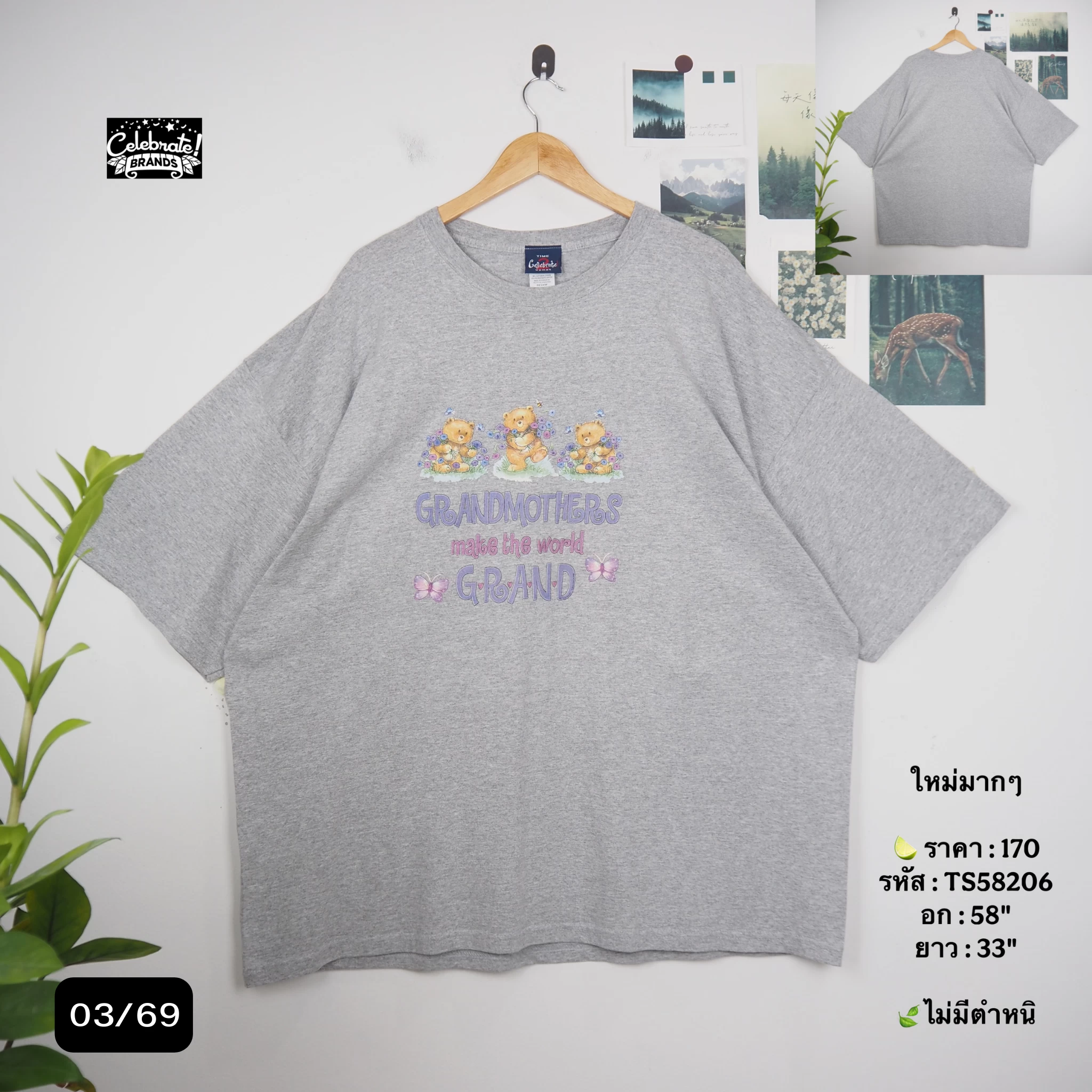 TS58206