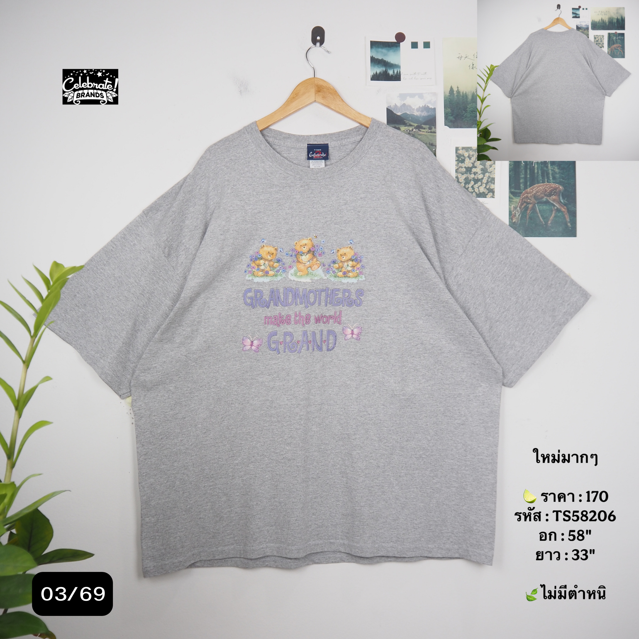 TS58206