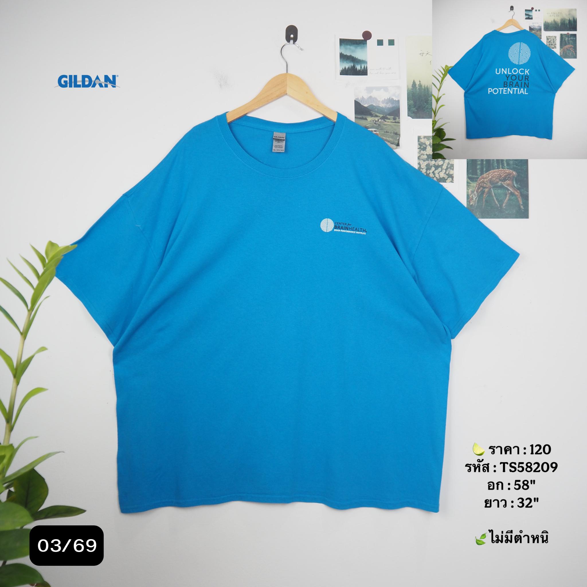 TS58209