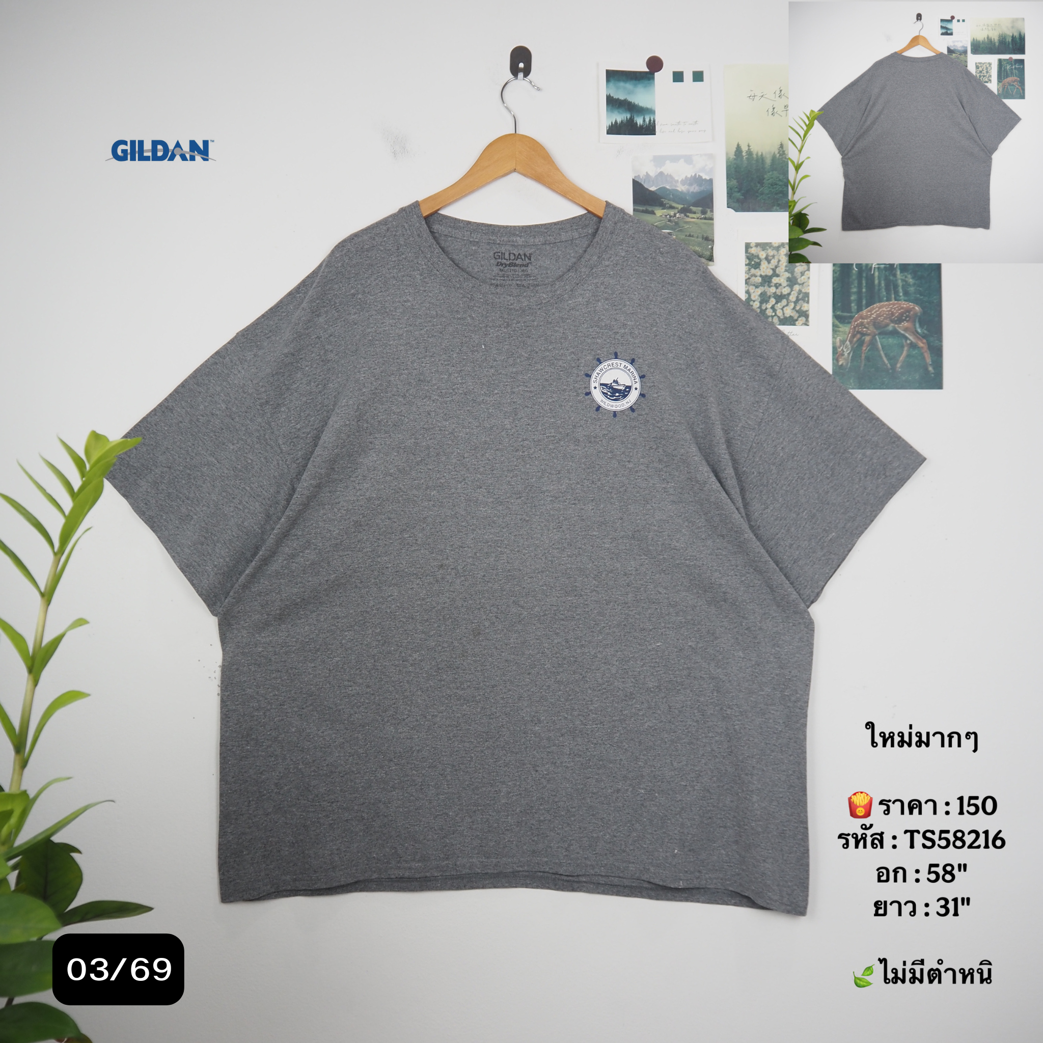 TS58216