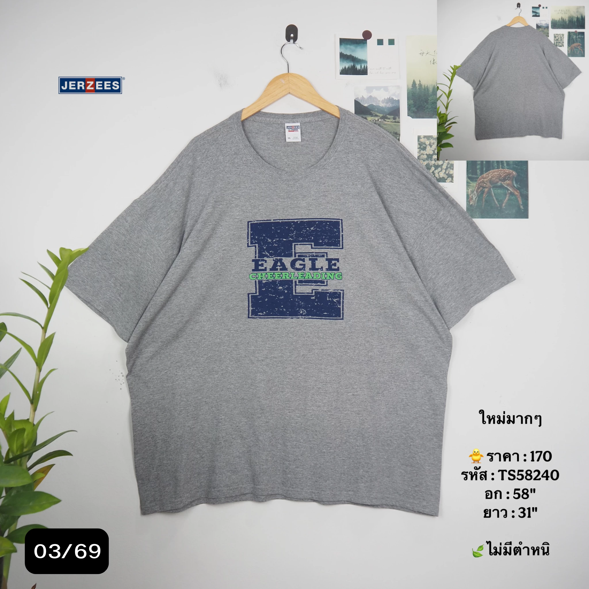 TS58240