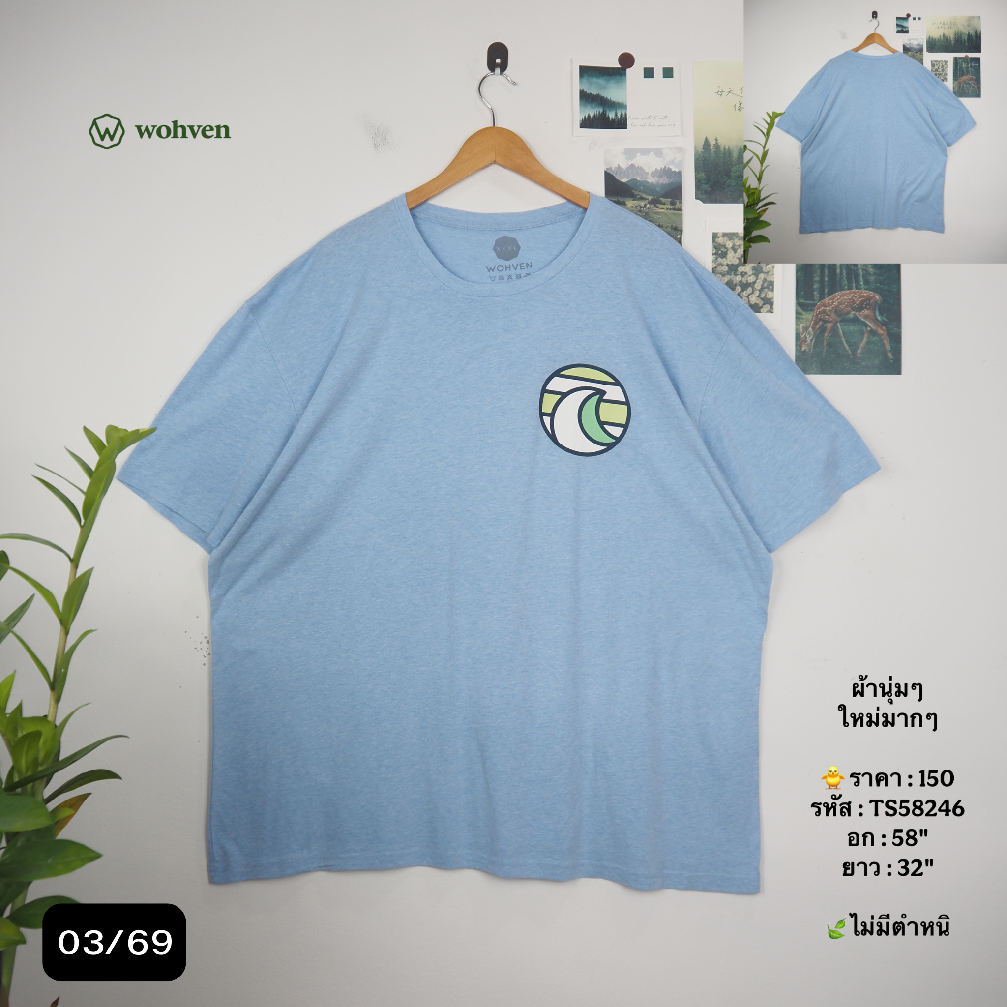 TS58246