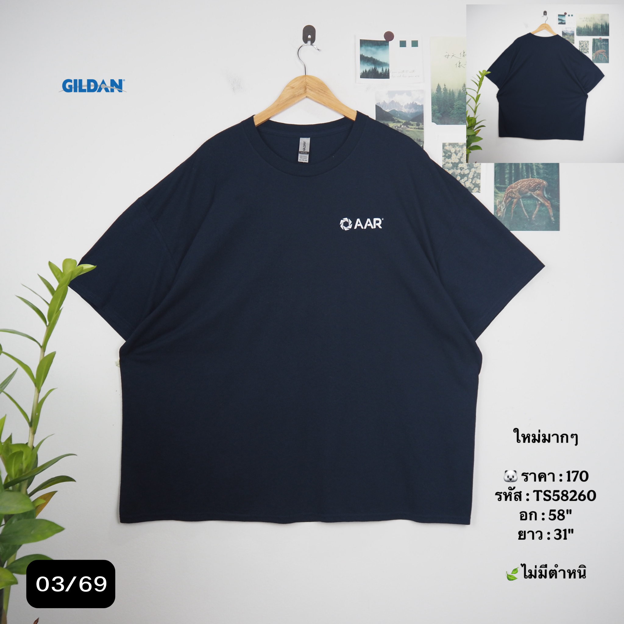 TS58260