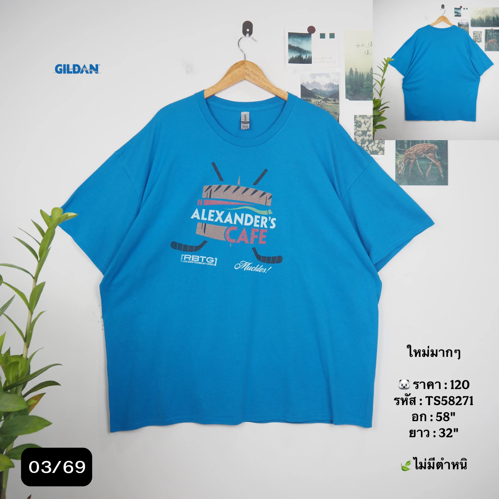 TS58271
