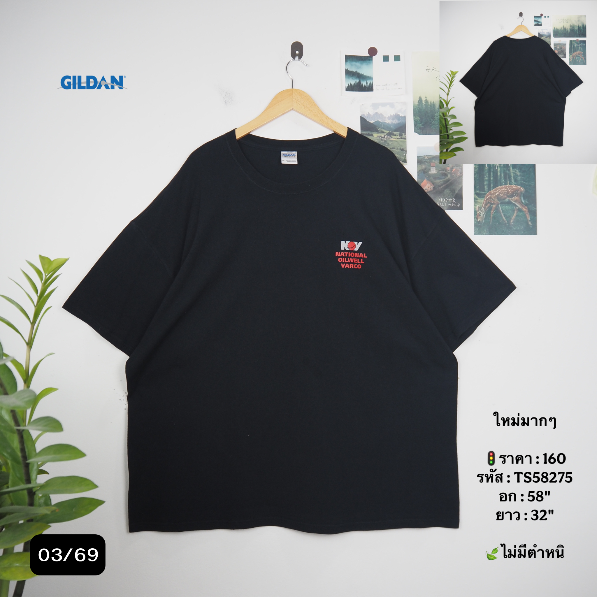 TS58275