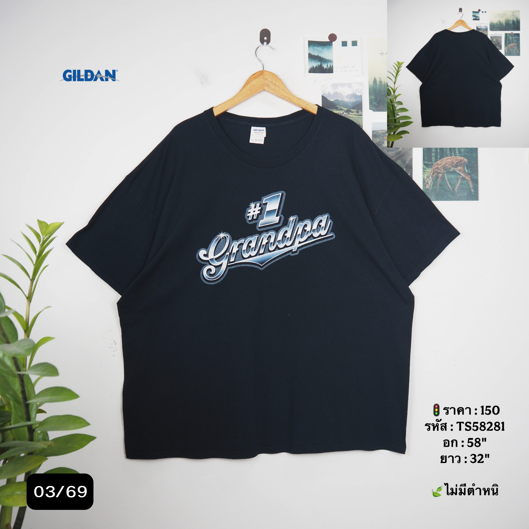 TS58281
