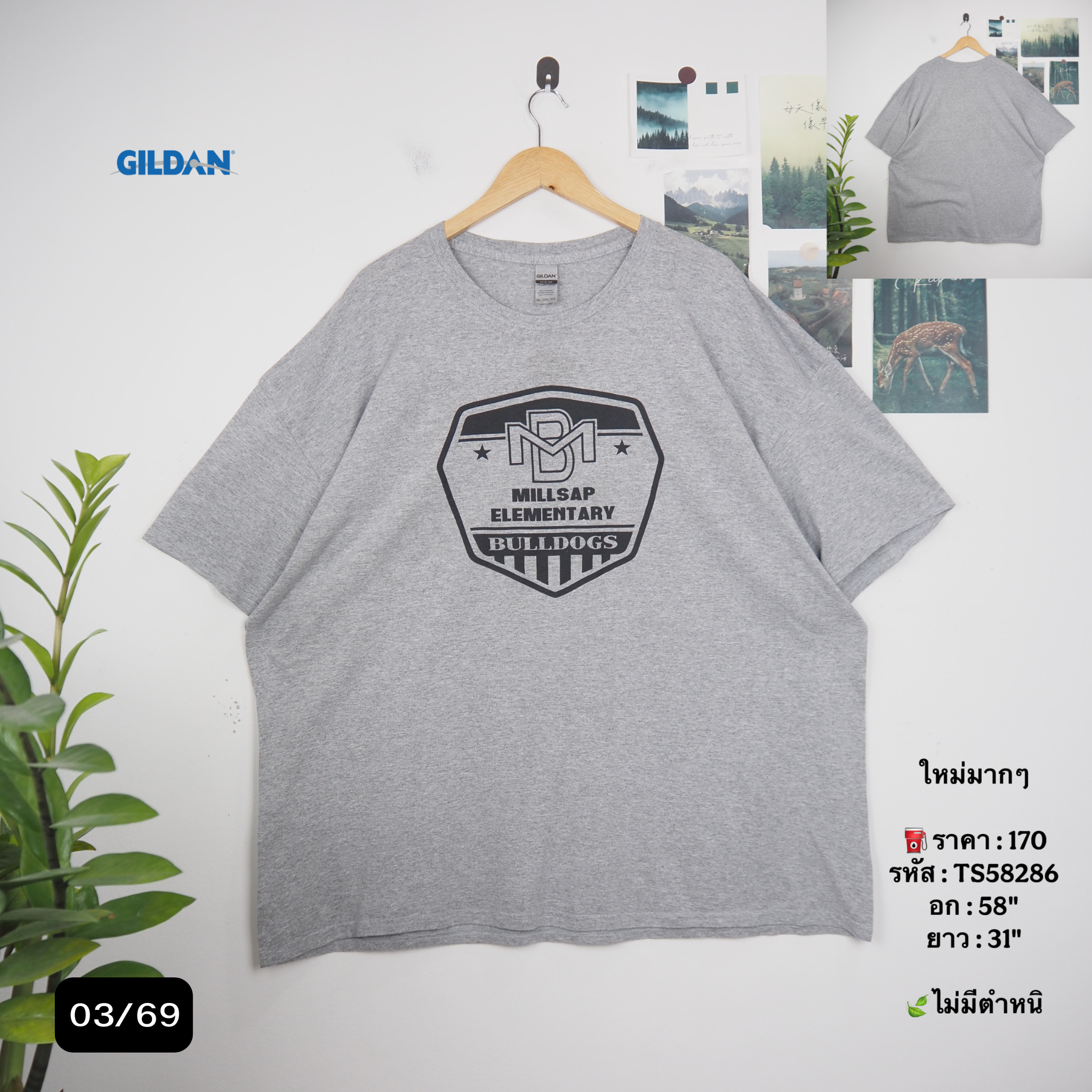 TS58286