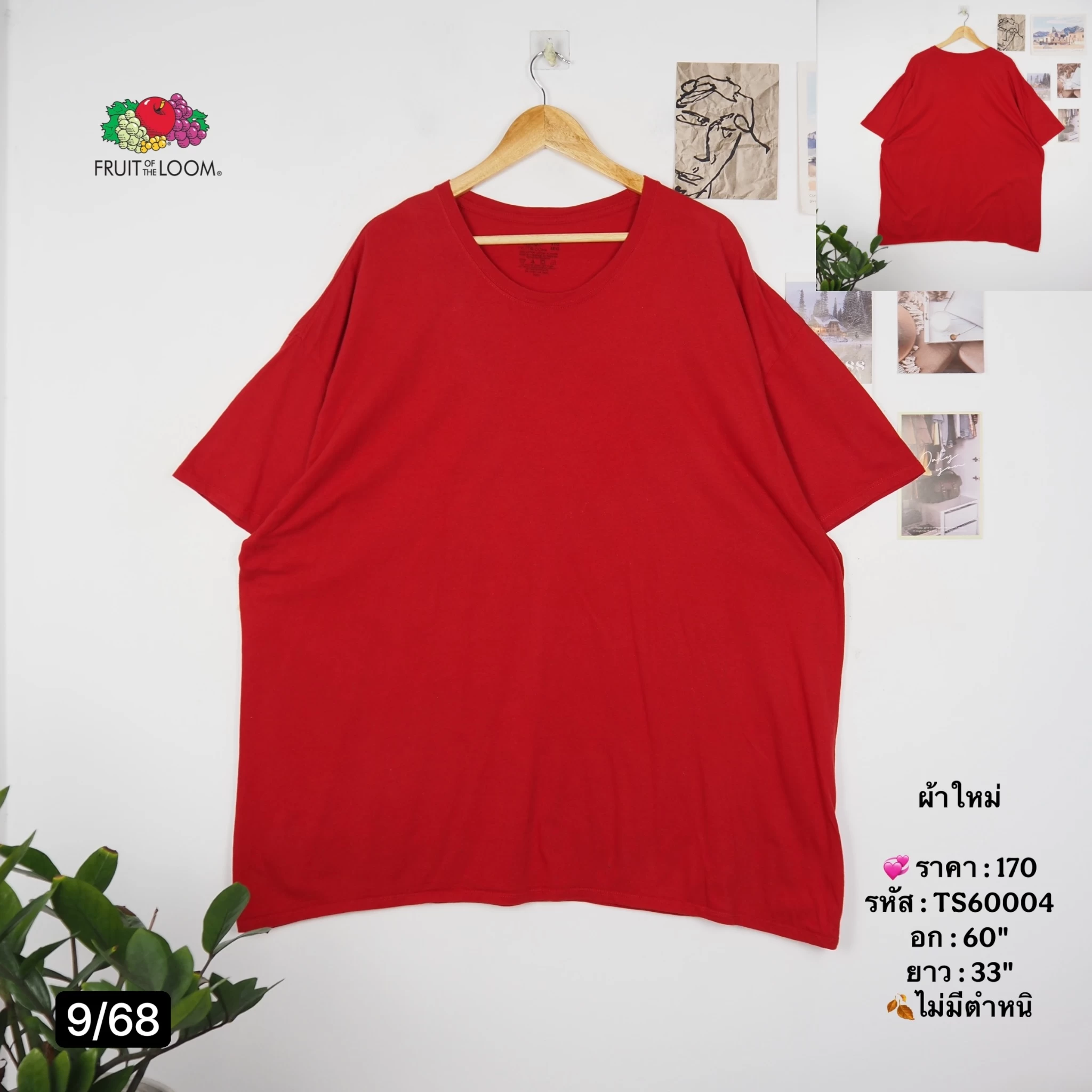 TS60004