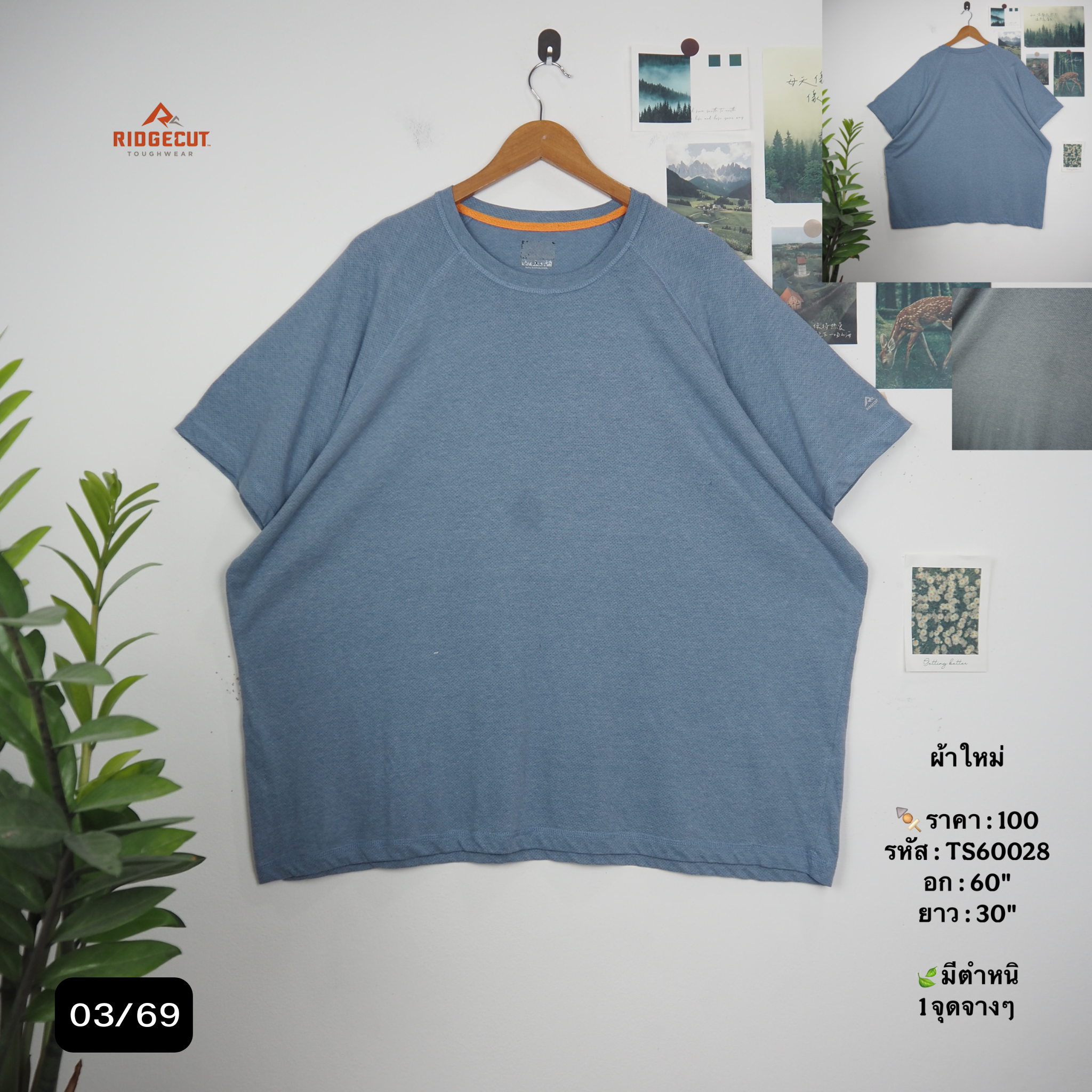 TS60028