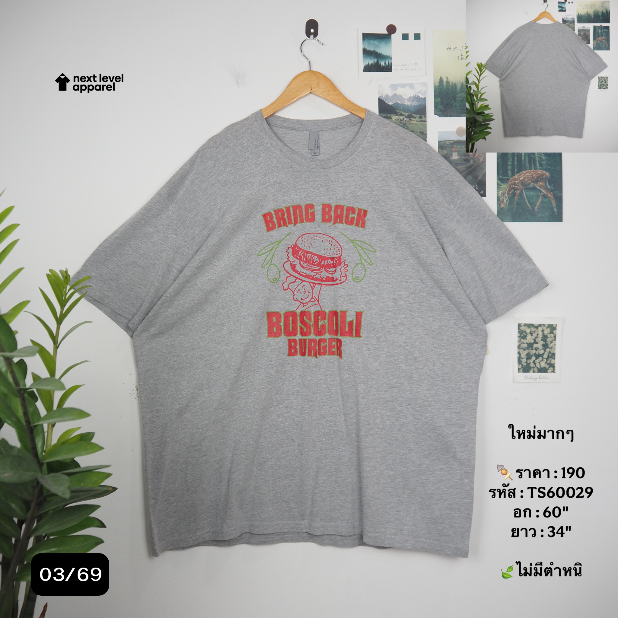 TS60029
