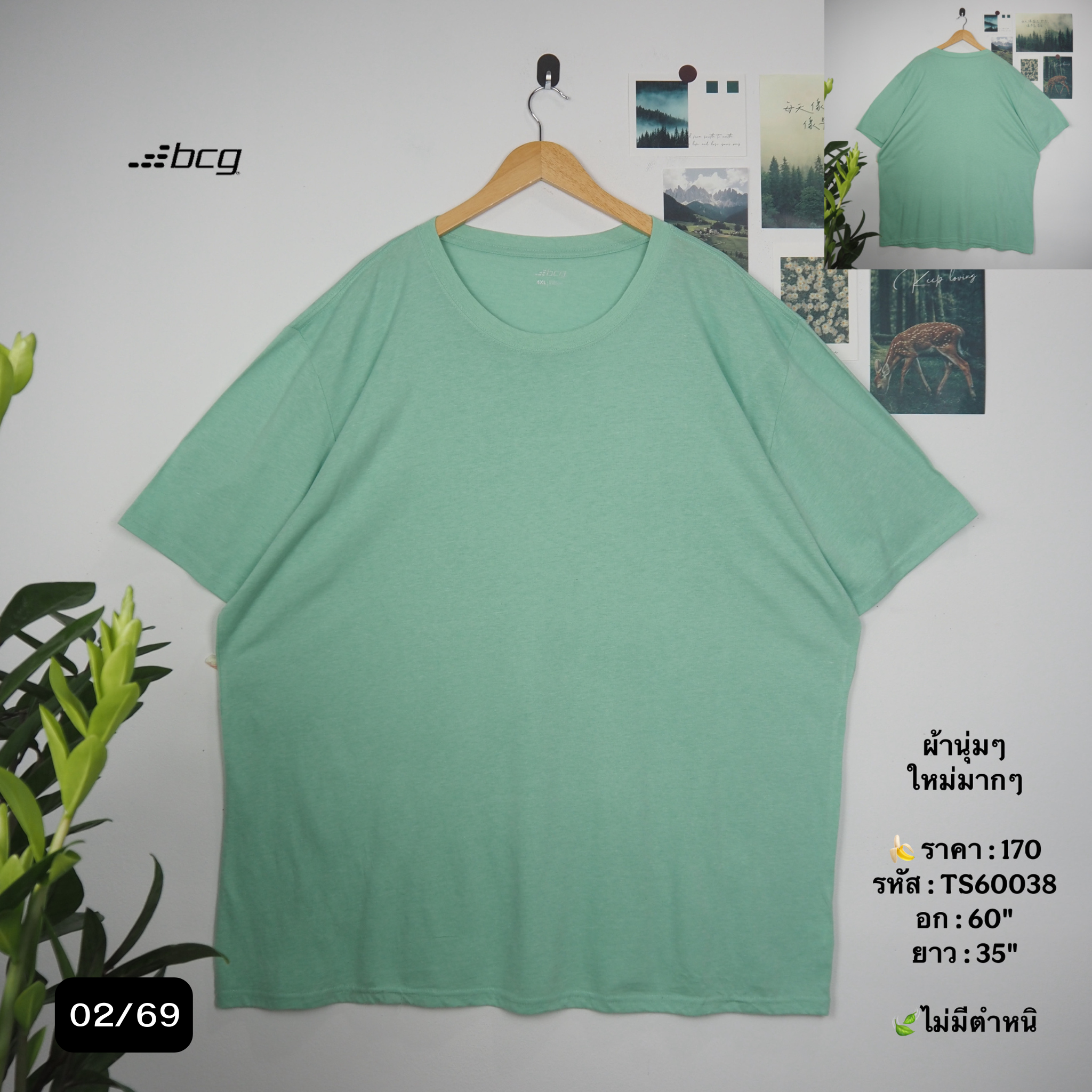 TS60038