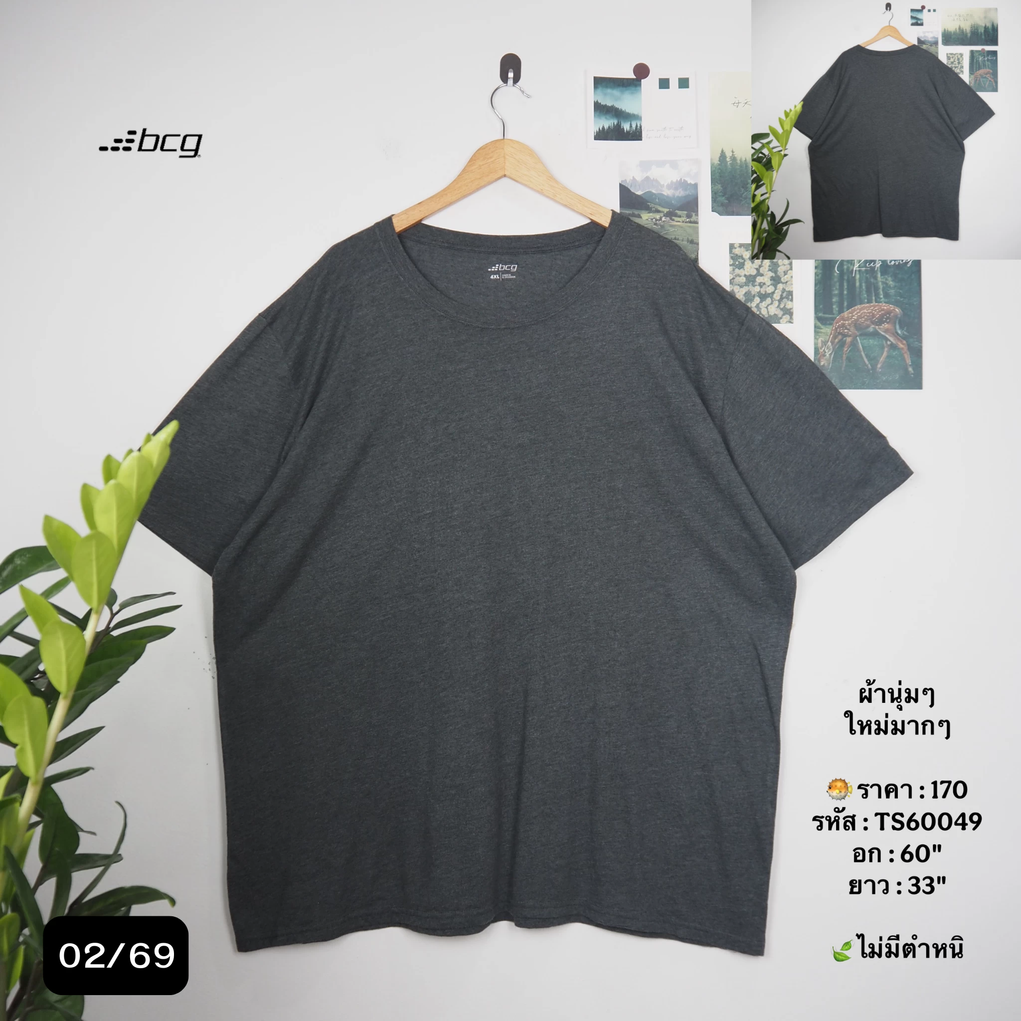 TS60049