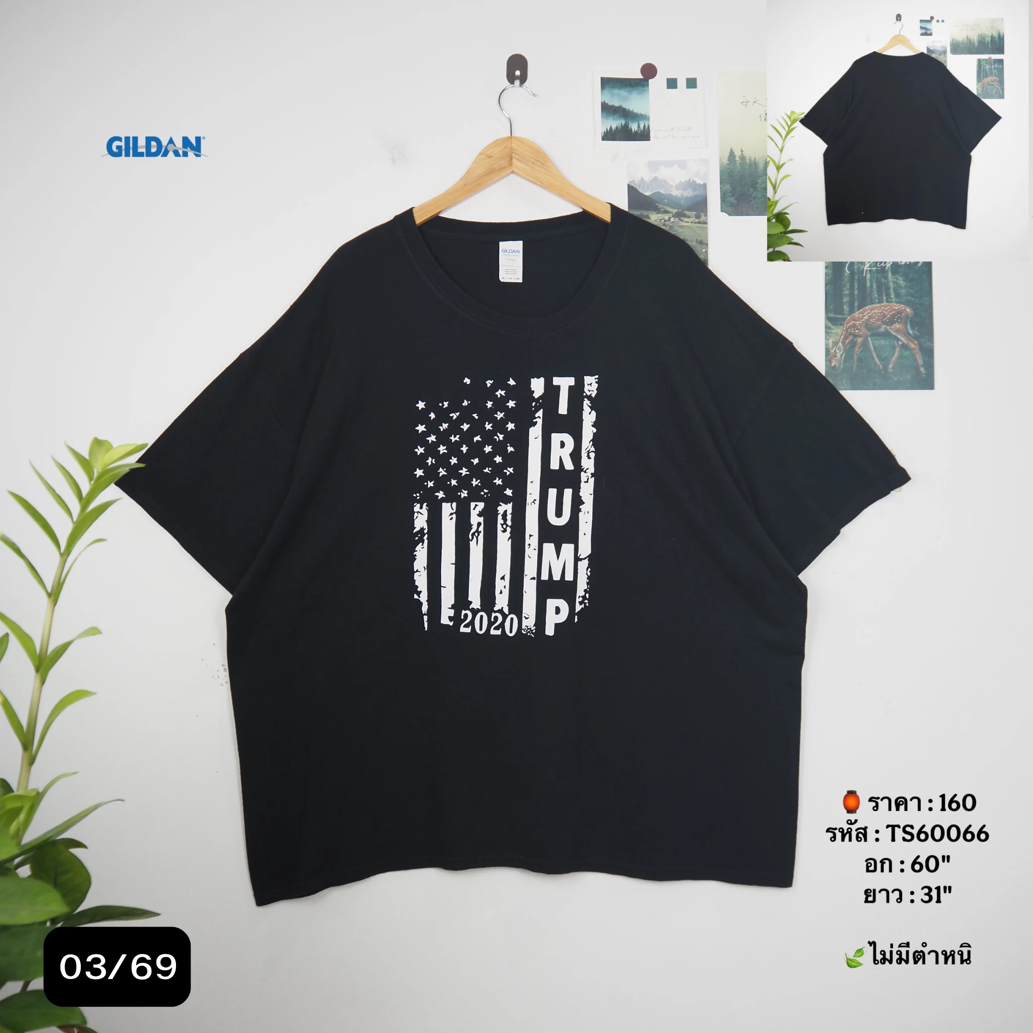 TS60066