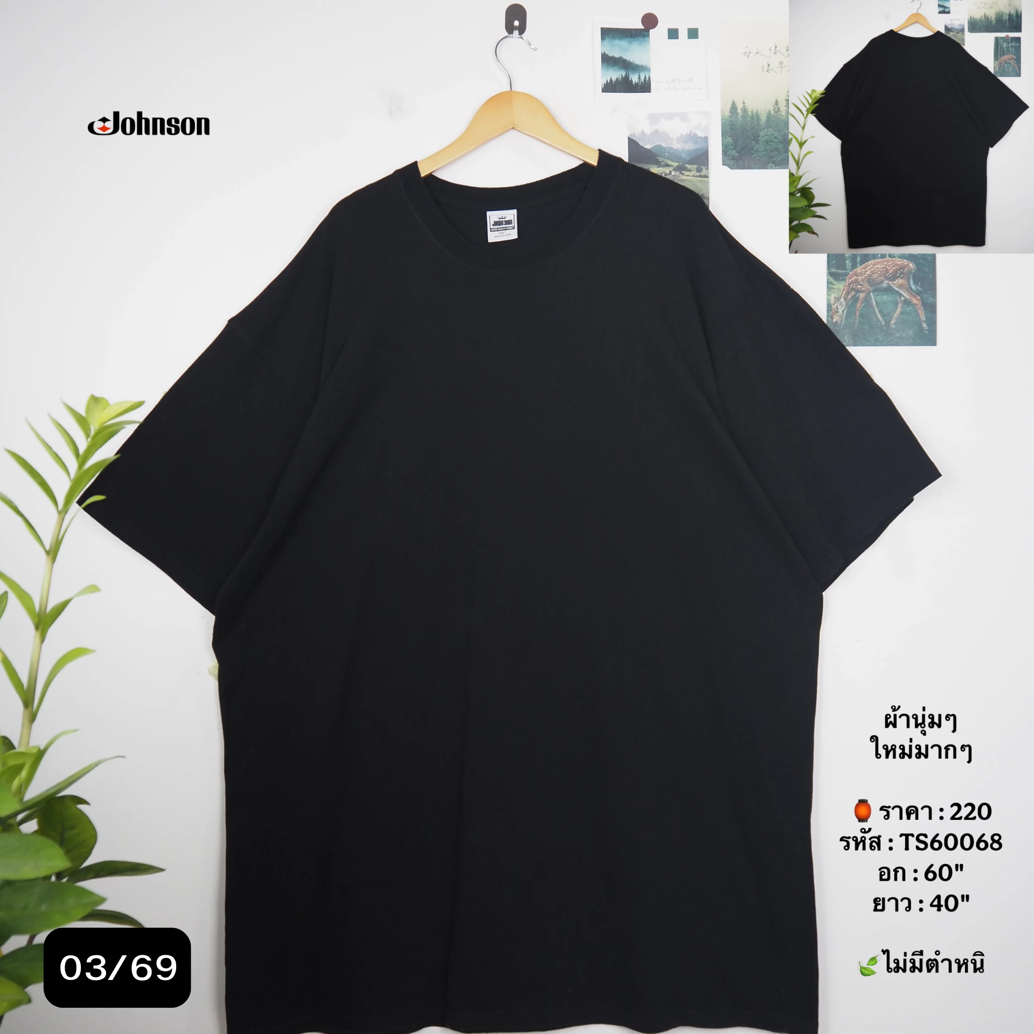 TS60068
